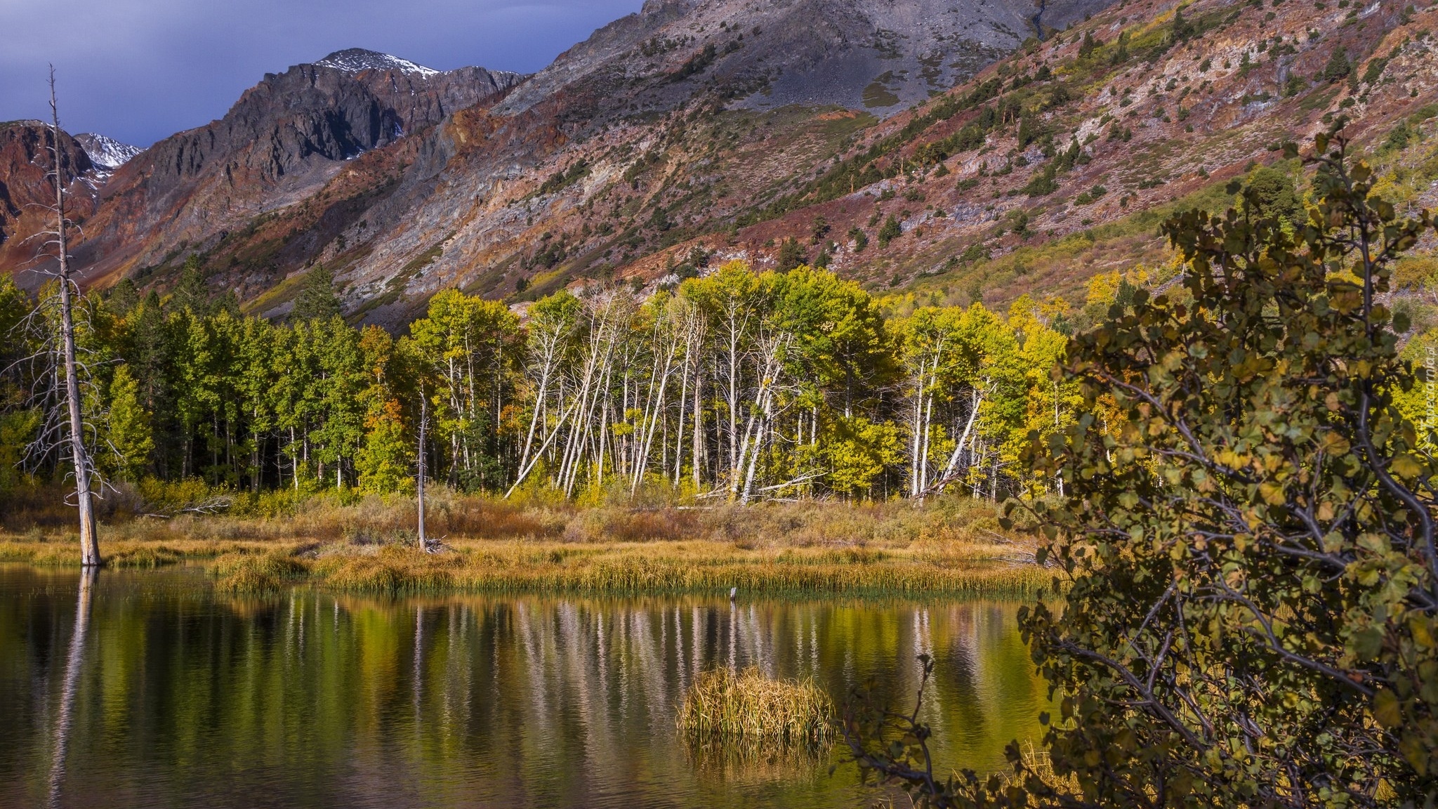 Stany Zjednoczone, Kalifornia, Jezioro Lundy Lake, Góry, Drzewa