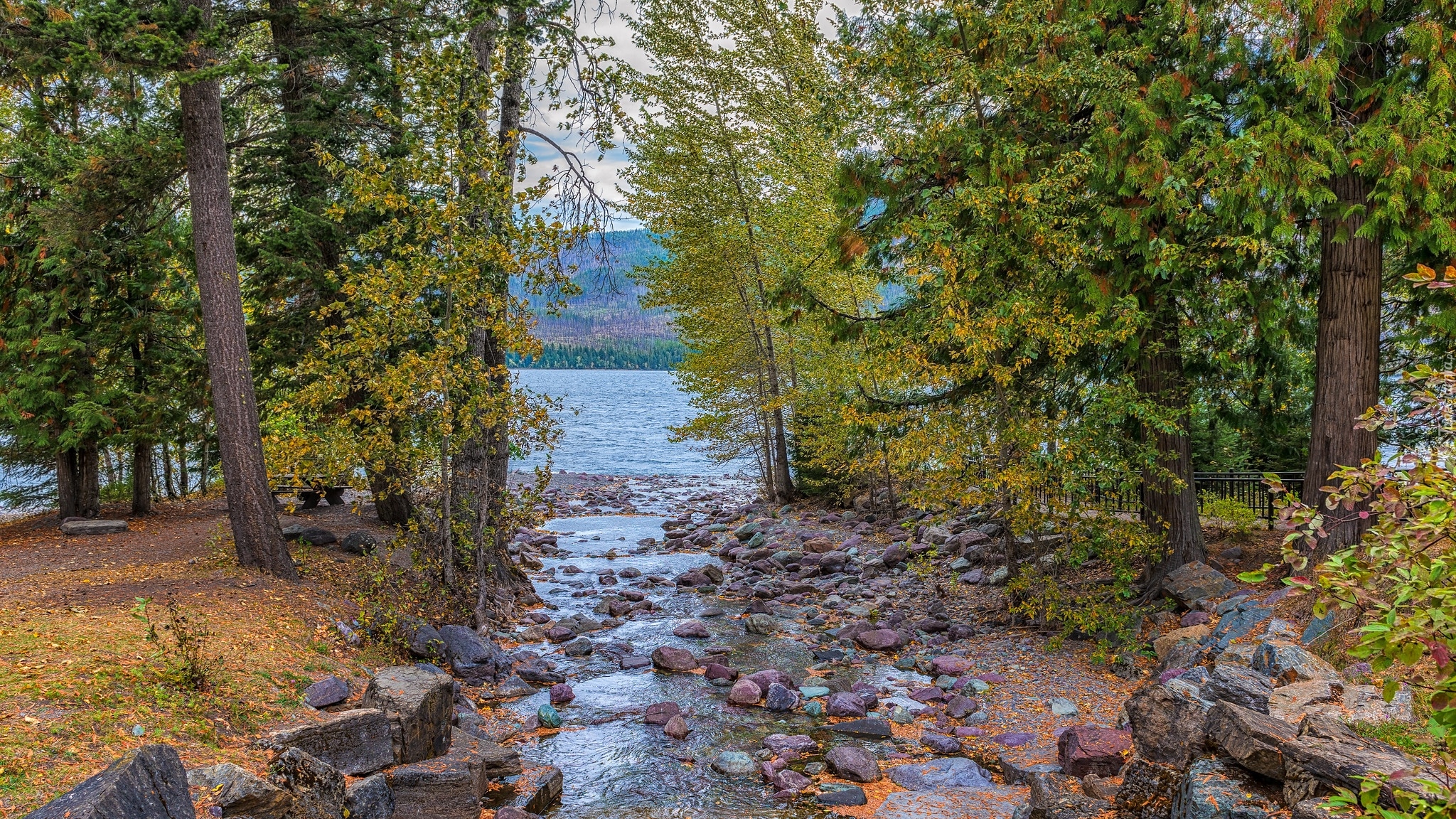 Drzewa, Jezioro, Lake McDonald, Kamienie, Park Narodowy Glacier, Montana, Stany Zjednoczone