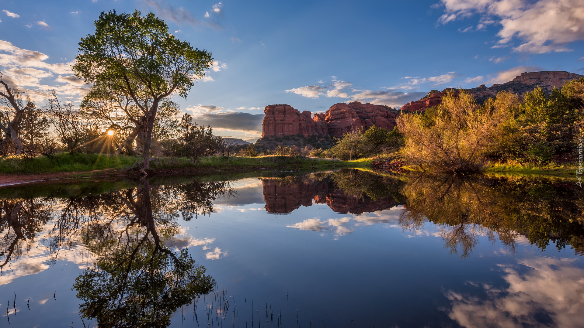 Jezioro, Drzewa, Krzew, Skały, Odbicie, Sedona, Arizona, Stany Zjednoczone