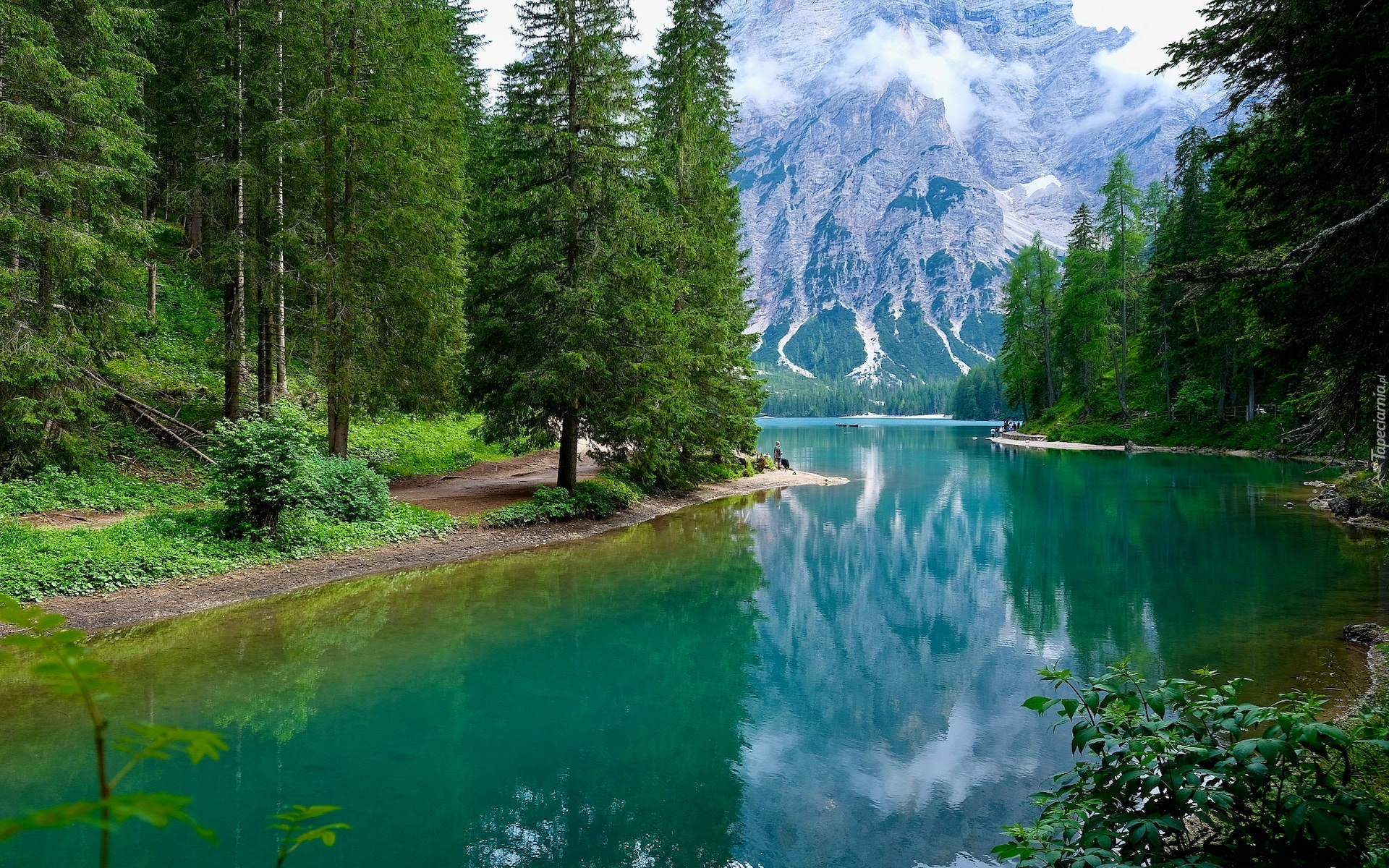 Włochy, Południowy Tyrol, Jezioro, Pragser Wildsee, Góry, Drzewa, Mgła, Odbicie