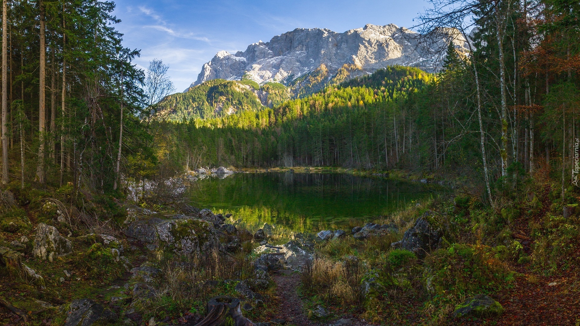 Góry, Jezioro, Drzewa, Skały, Rośliny