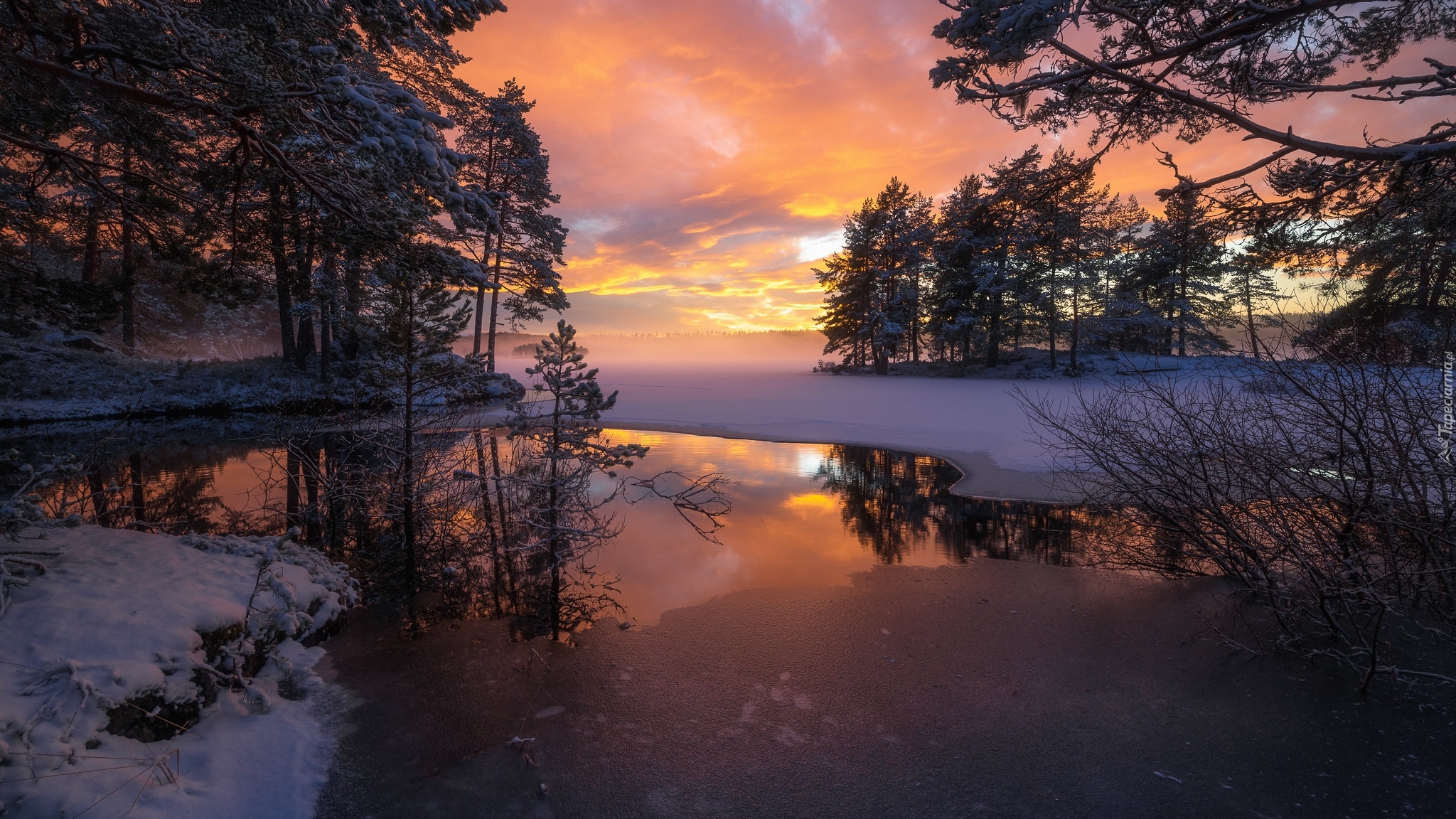Zima, Śnieg, Lód, Jezioro, Drzewa, Zachód słońca, Ringerike, Norwegia