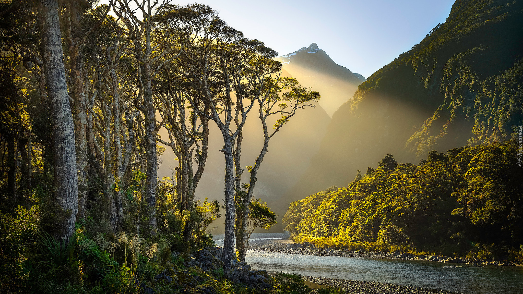 Nowa Zelandia, Góry, Przebijające światło, Drzewa, Rzeka, Cleddau River, Park Narodowy Fiordland