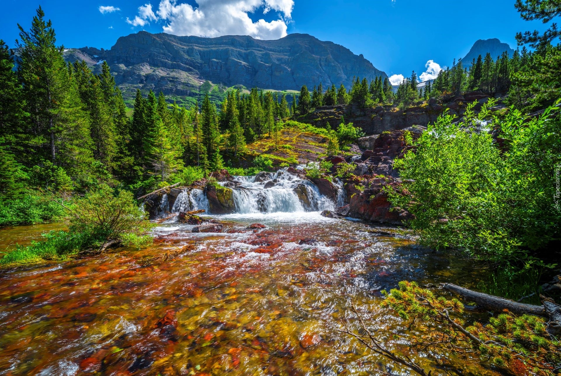 Park Narodowy Glacier, Góry, Rzeka, Kamienie, Las, Drzewa, Montana, Stany Zjednoczone