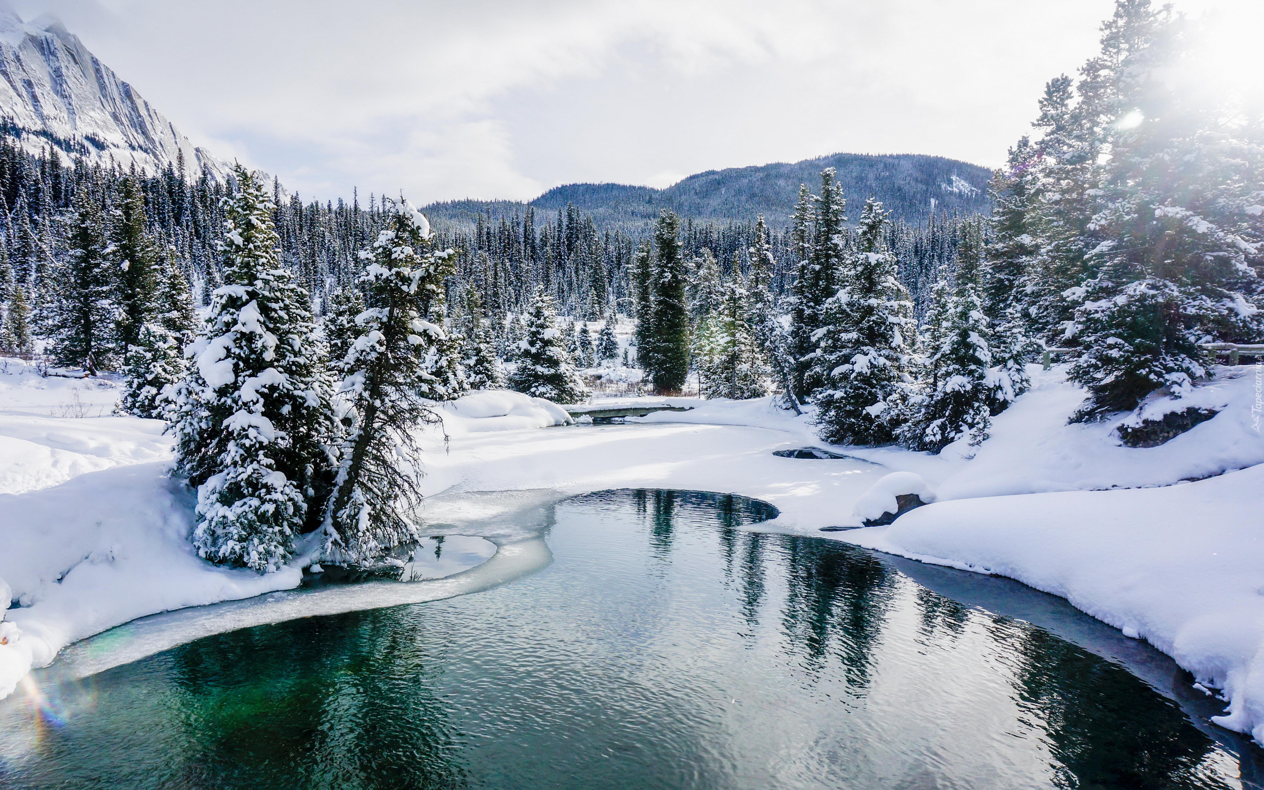 Kanada, Prowincja Alberta, Park Narodowy Banff, Rezerwat Ink Pots, Rzeka, Johnston Creek, Góry, Drzewa, Lasy, Zima