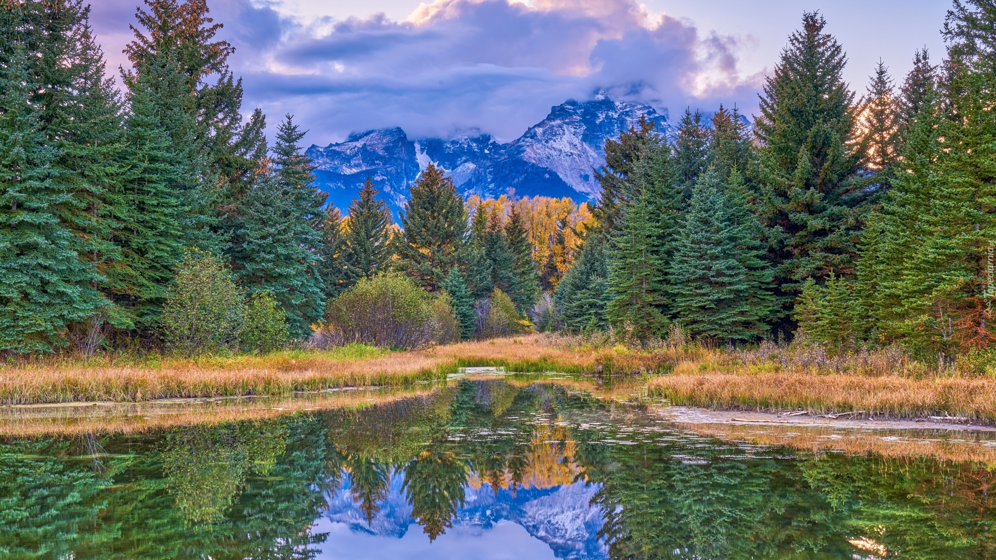 Park Narodowy Grand Teton, Góry Skaliste, Drzewa, Rzeka, Snake River, Chmury, Stan Wyoming, Stany Zjednoczone