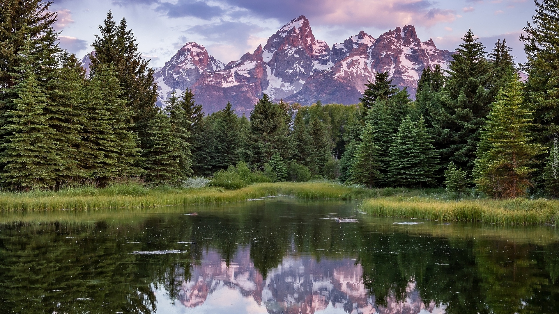 Park Narodowy Grand Teton, Rzeka Snake River, Góry Teton Range, Drzewa, Trawy, Odbicie, Stan Wyoming, Stany Zjednoczone