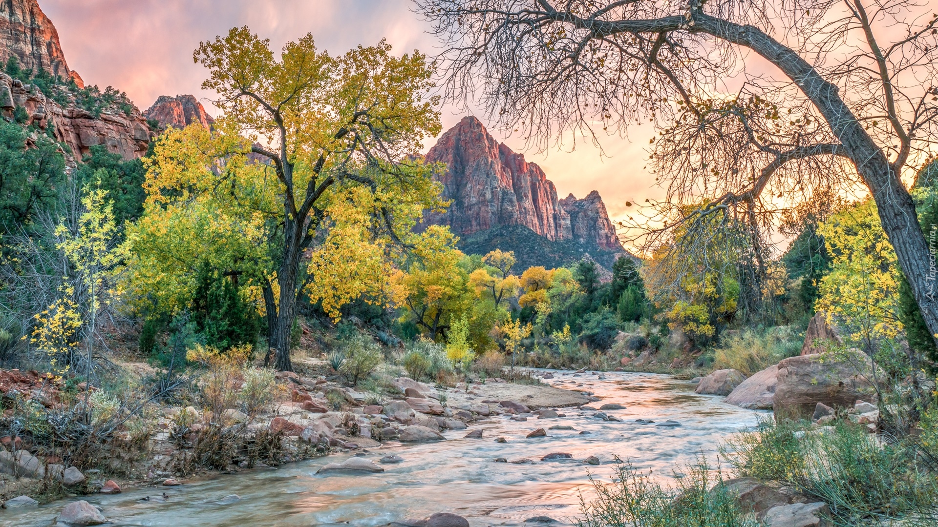 Park Narodowy Zion, Góry, Góra Watchman, Drzewa, Rzeka, Virgin River, Stan Utah, Stany Zjednoczone