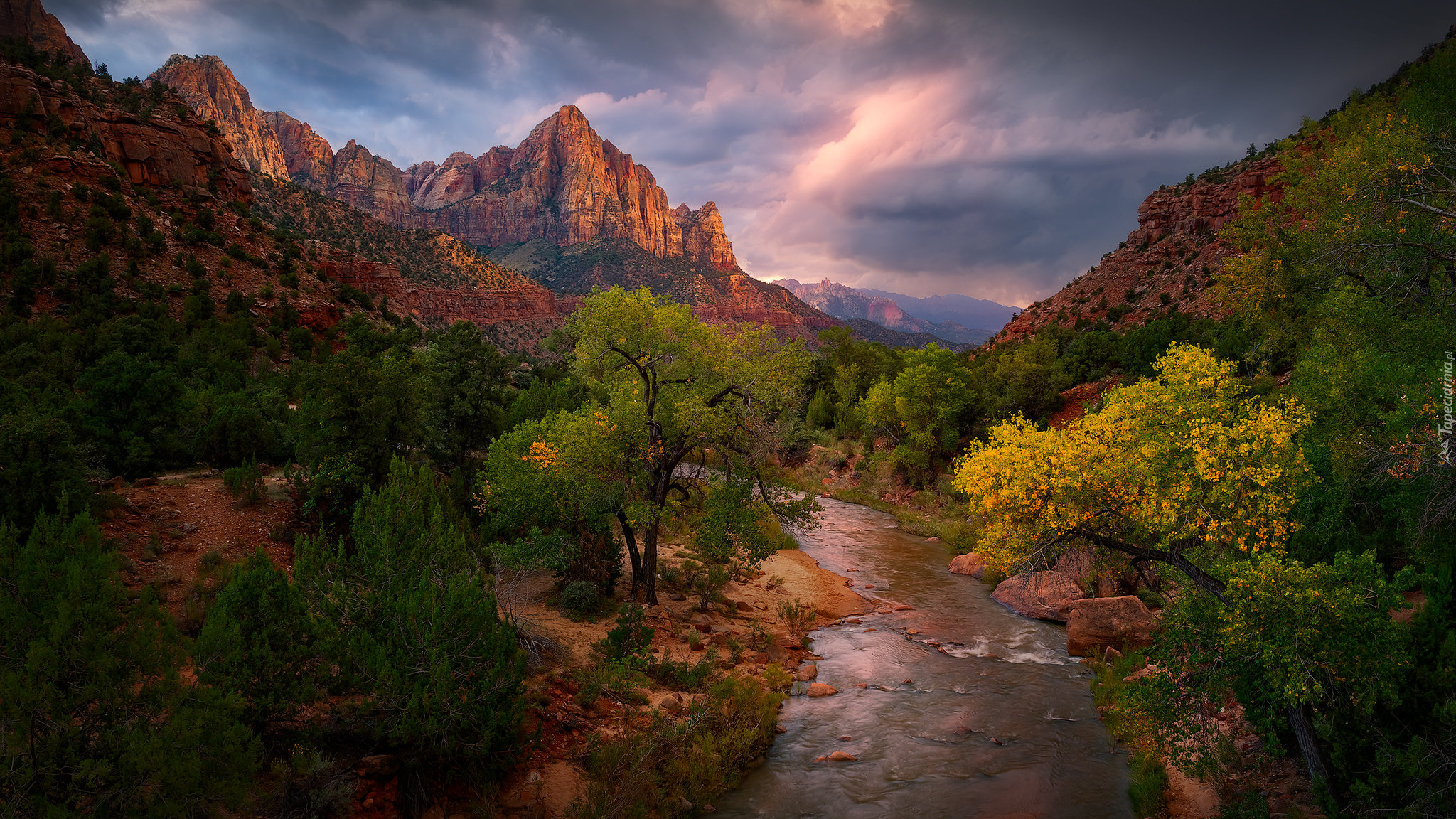 Góry, Góra Watchman, Rzeka, Rzeka Virgin River, Drzewa, Park Narodowy Zion, Utah, Stany Zjednoczone