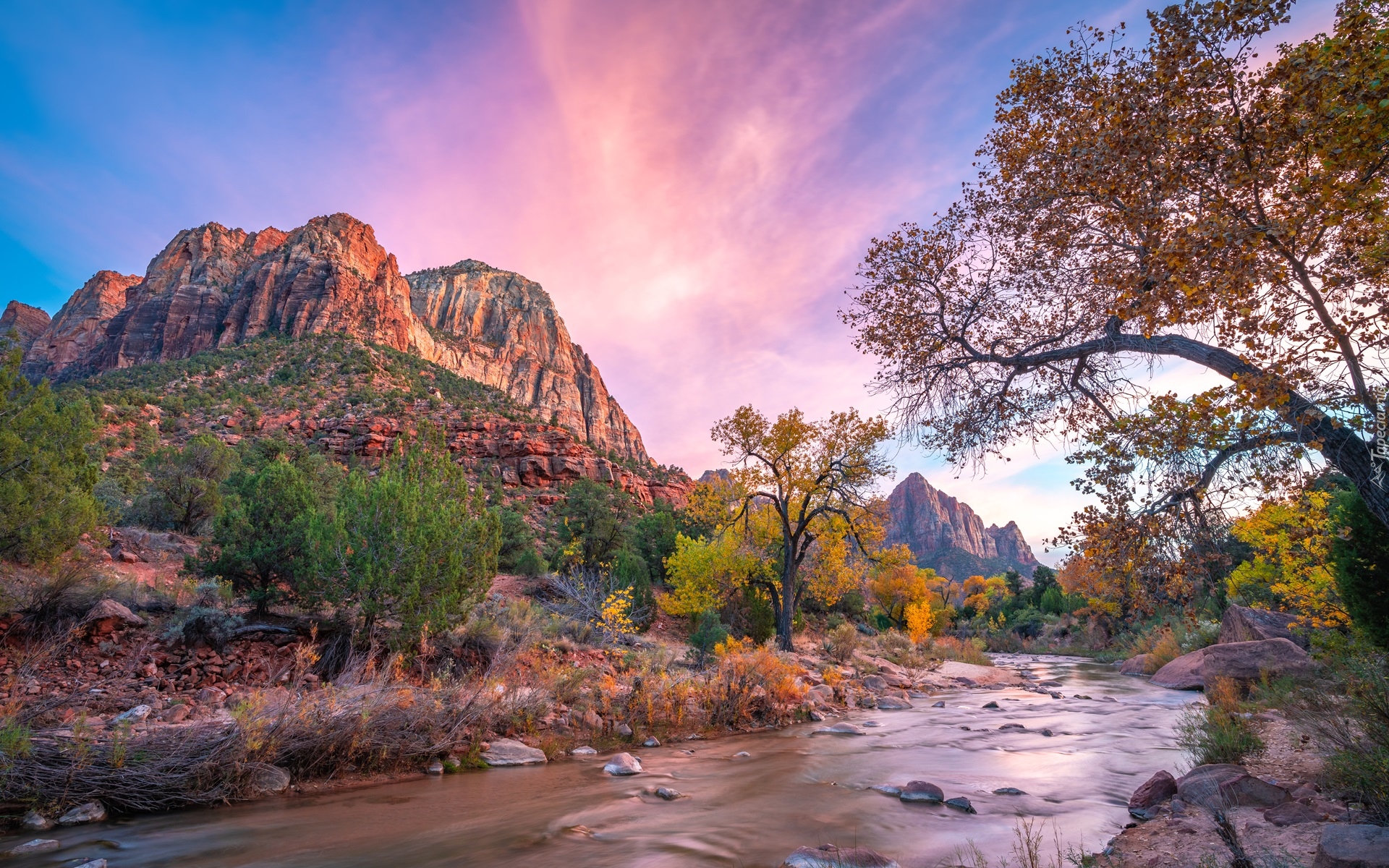 Park Narodowy Zion, Góry Watchman, Drzewa, Rzeka, Virgin River, Kamienie, Wschód słońca, Stan Utah, Stany Zjednoczone