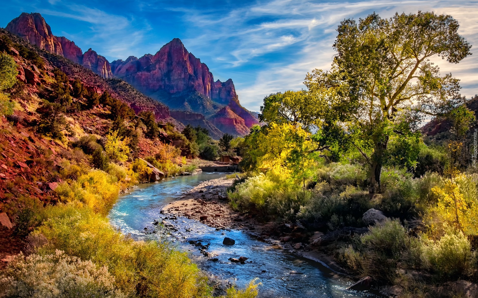 Stany Zjednoczone, Stan Utah, Park Narodowy Zion, Góry Watchman, Rzeka Virgin River, Kamienie, Drzewa