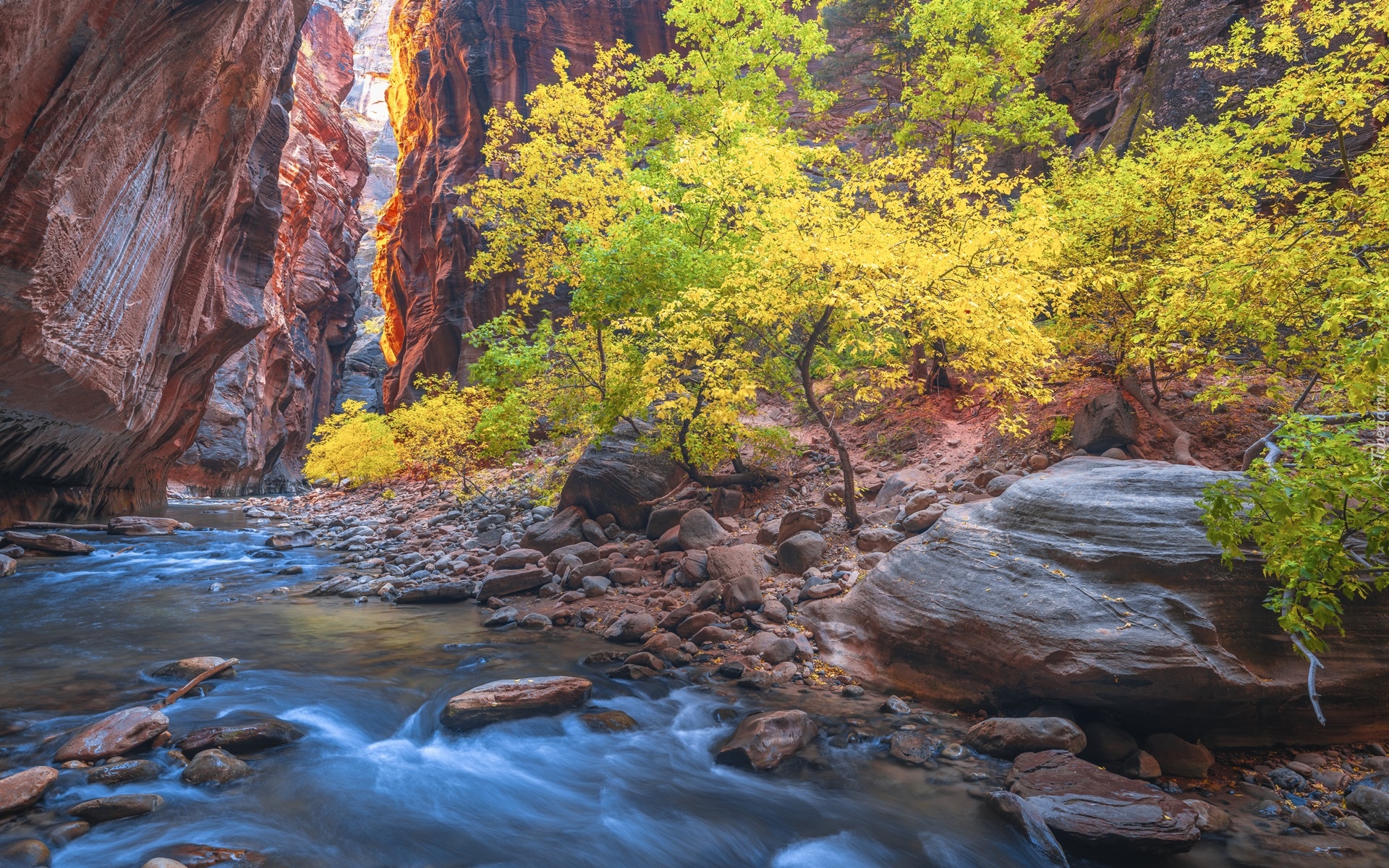 Park Narodowy Zion, Kanion Zion Narrows, Skały, Kamienie, Rzeka, Virgin River, Drzewa, Jesień, Stan Utah, Stany Zjednoczone