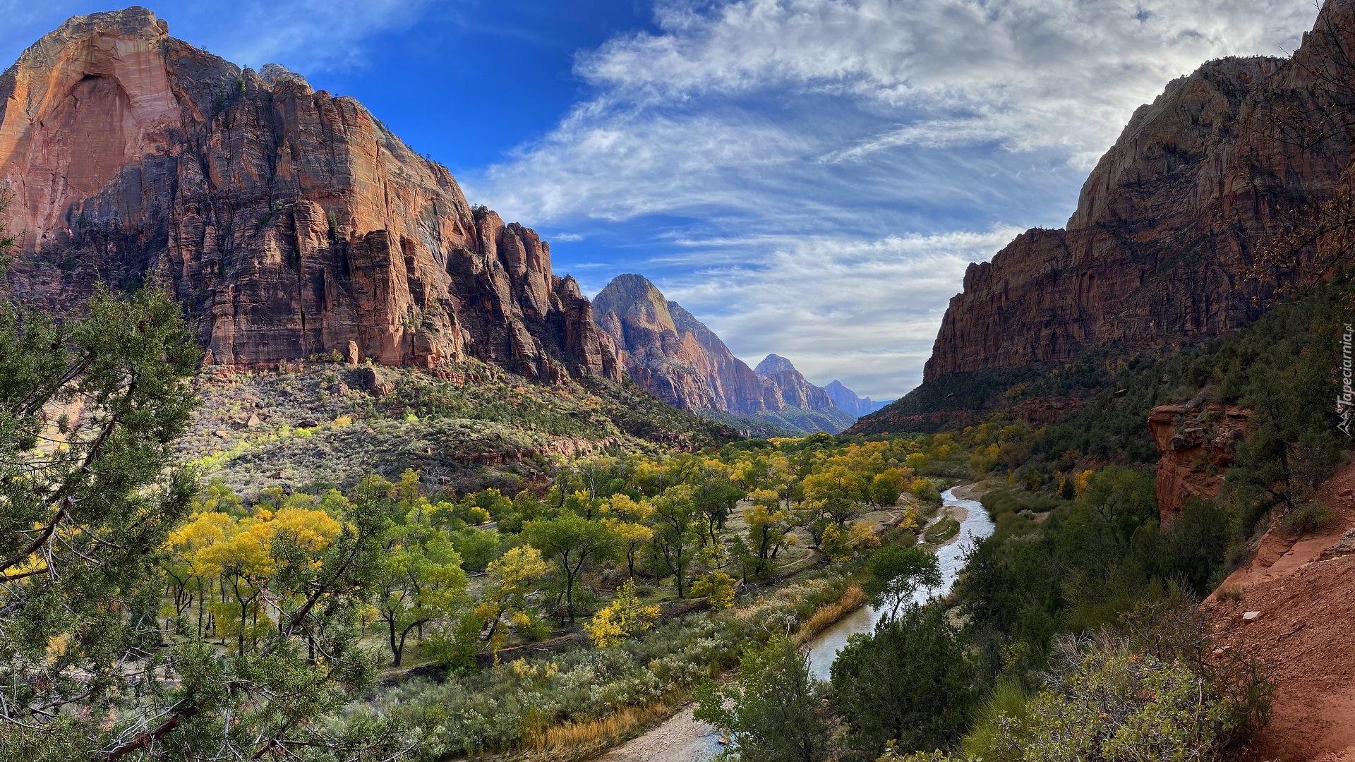 Góry, Rzeka, Virgin, Krzewy, Park Narodowy Zion, Utah, Stany Zjednoczone