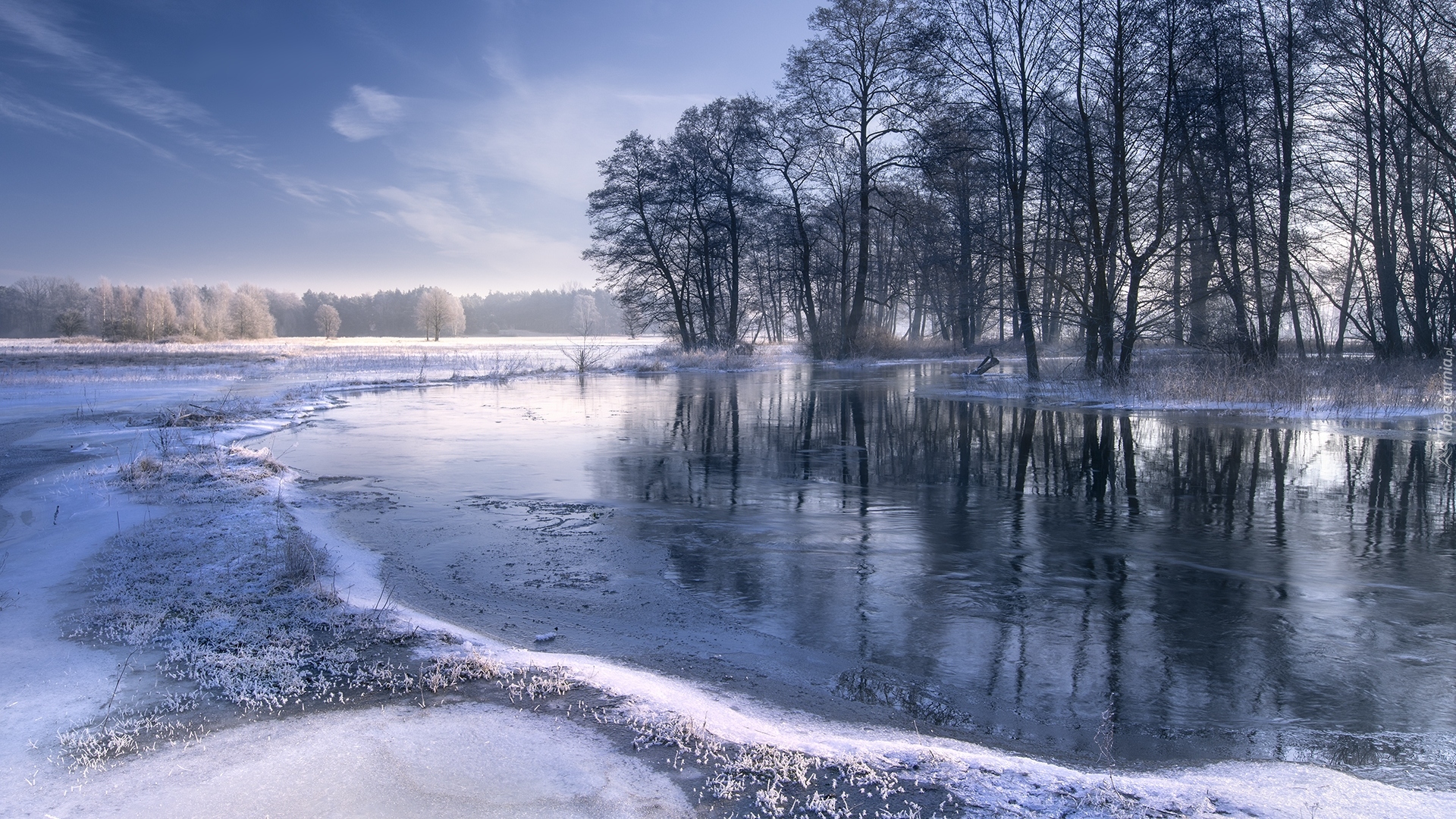 Śnieg, Zima, Rzeka, Drzewa