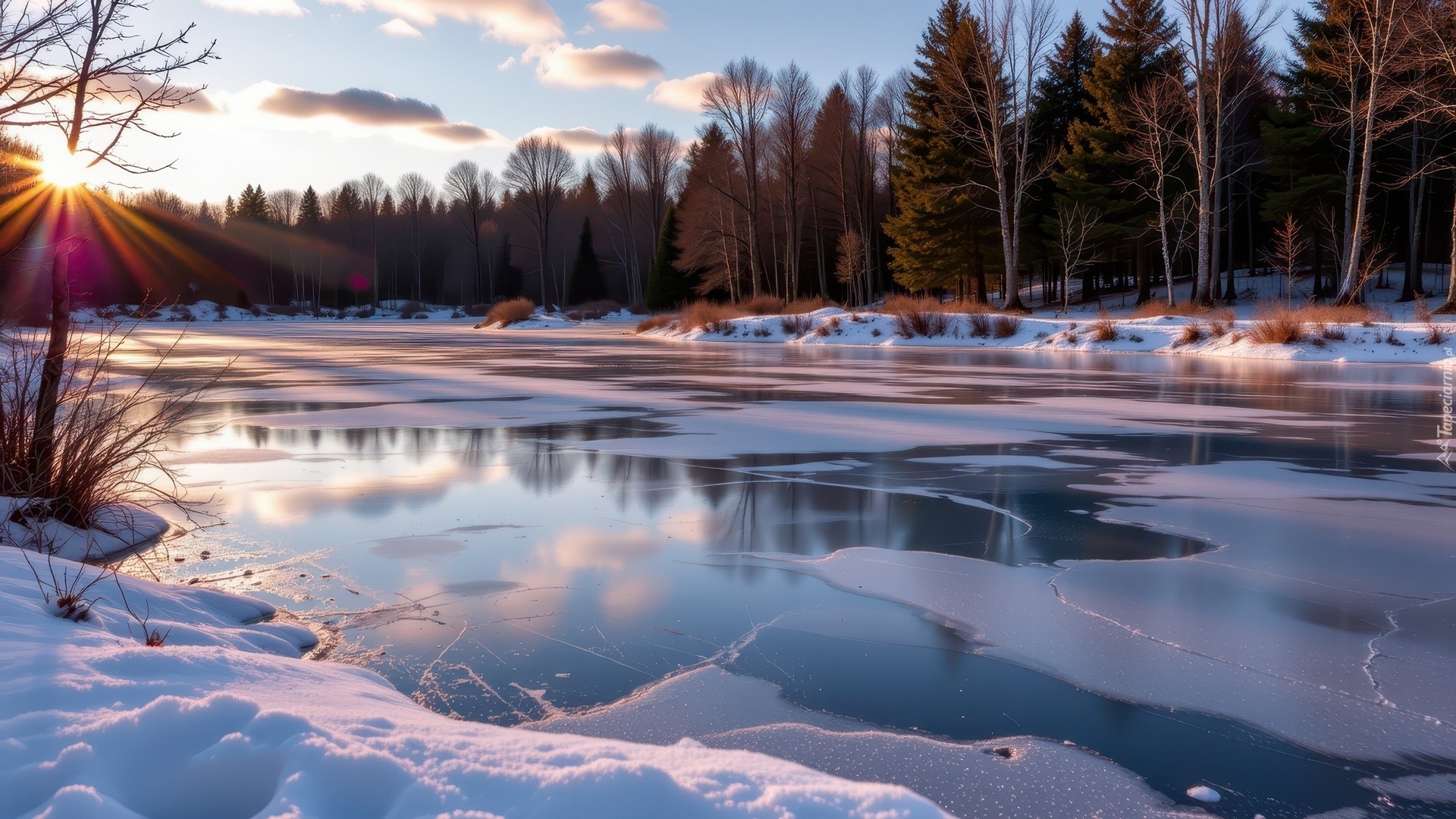 Zima, Zamarznięte, Jezioro, Śnieg, Promienie słońca, Drzewa