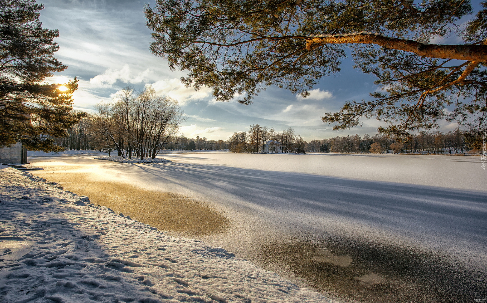 Zima, Park, Zaśnieżony, Staw, Drzewa