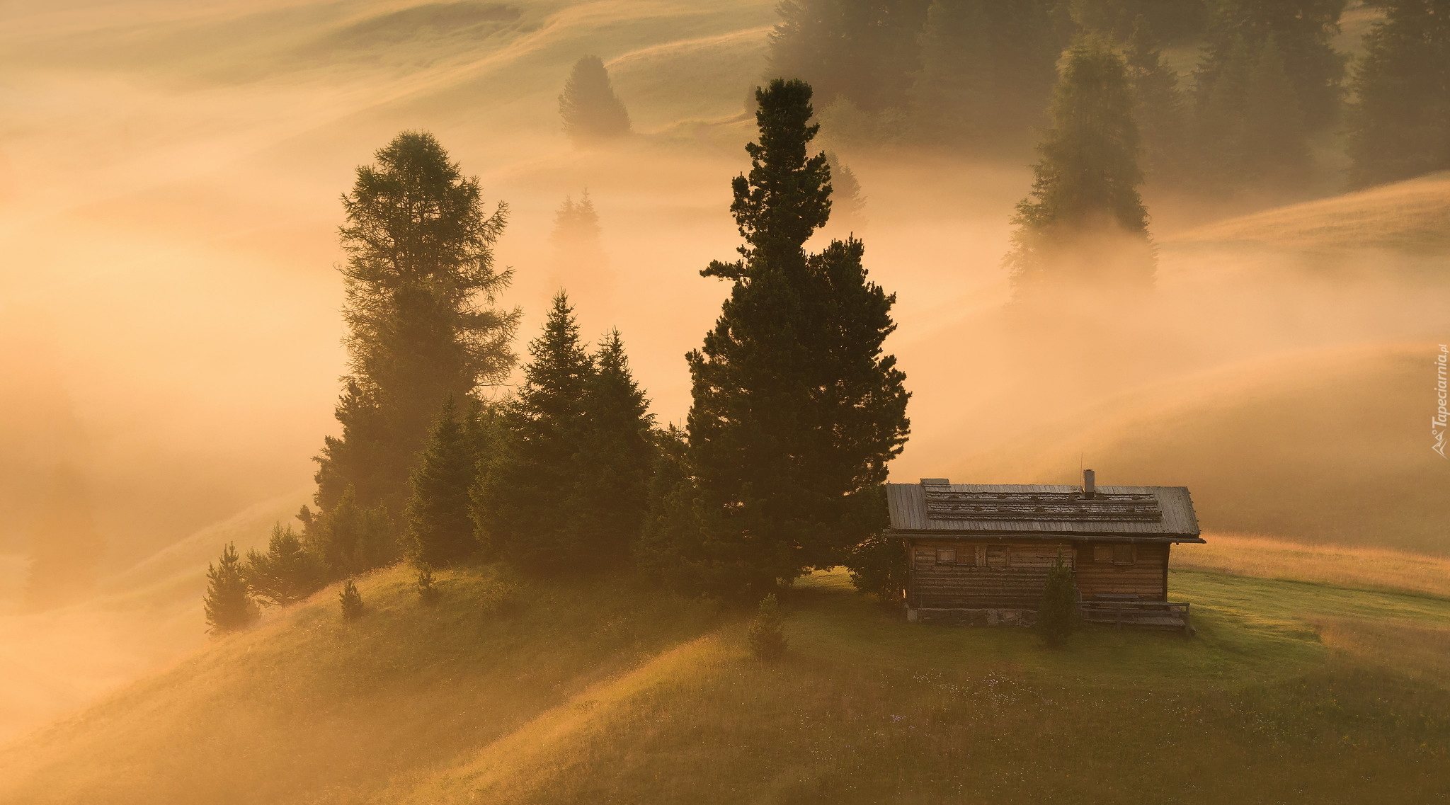 Płaskowyż Seiser Alm, Drewniany, Domek, Mgła, Drzewa, Włochy