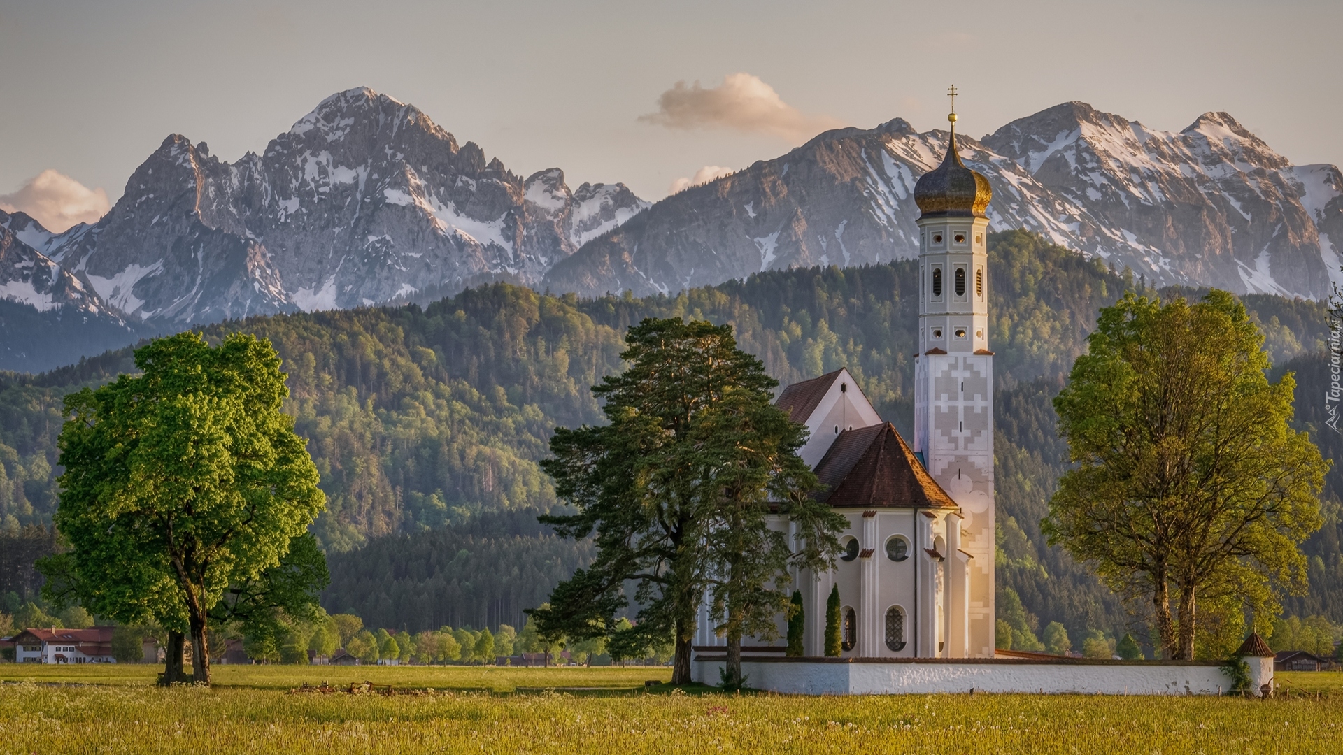 Góry, Alpy, Kościół Eglise Saint Coloman, Drzewa, Region Allgau, Bawaria, Niemcy