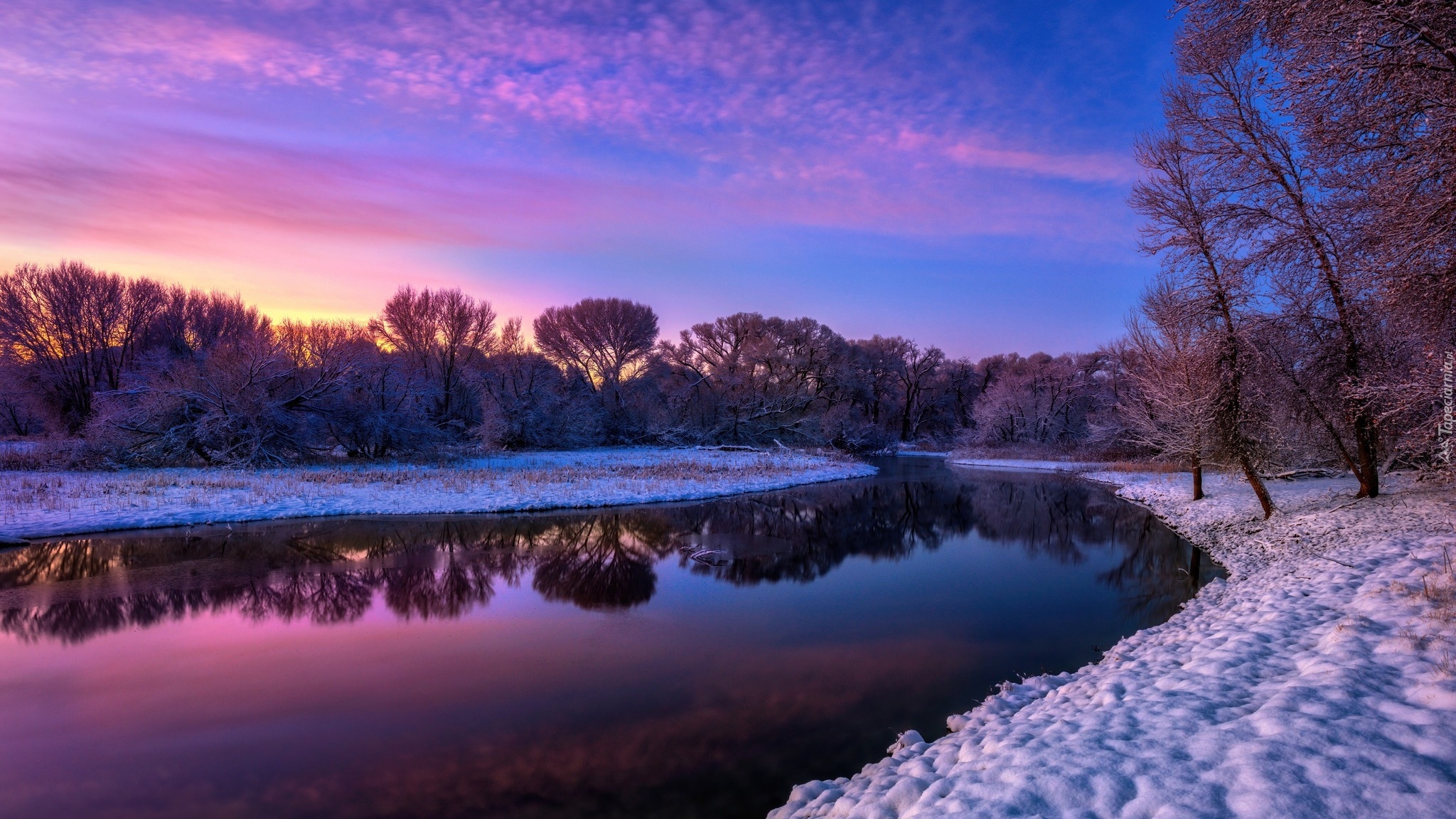 Zima, Drzewa, Rzeka, Granite Creek, Arizona, Stany Zjednoczone