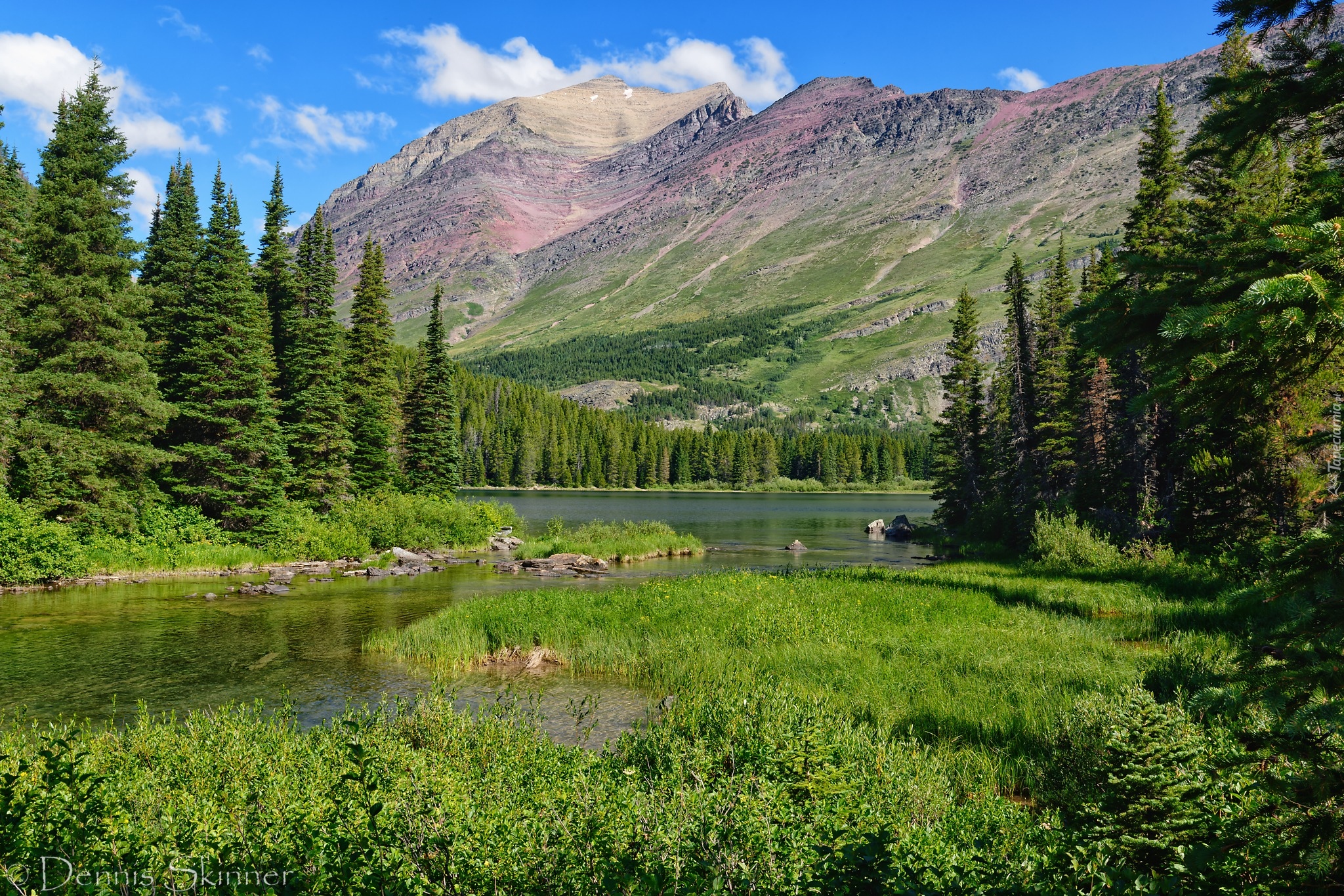 Stany Zjednoczone, Montana, Park Narodowy Glacier, Góry Skaliste, Jezioro, Swiftcurrent Lake, Drzewa, Trawa