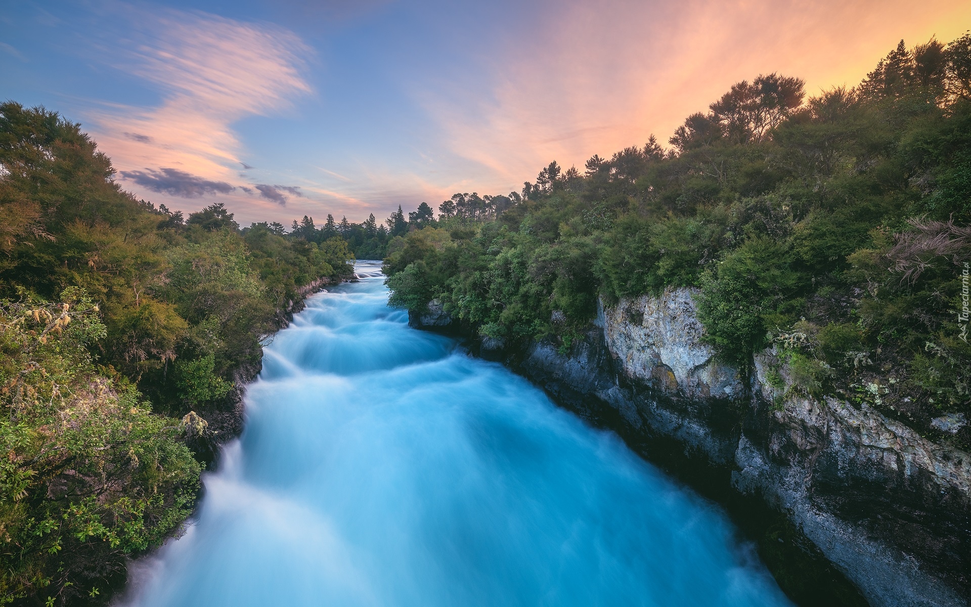 Drzewa, Skały, Rzeka, Waikato River, Nowa Zelandia