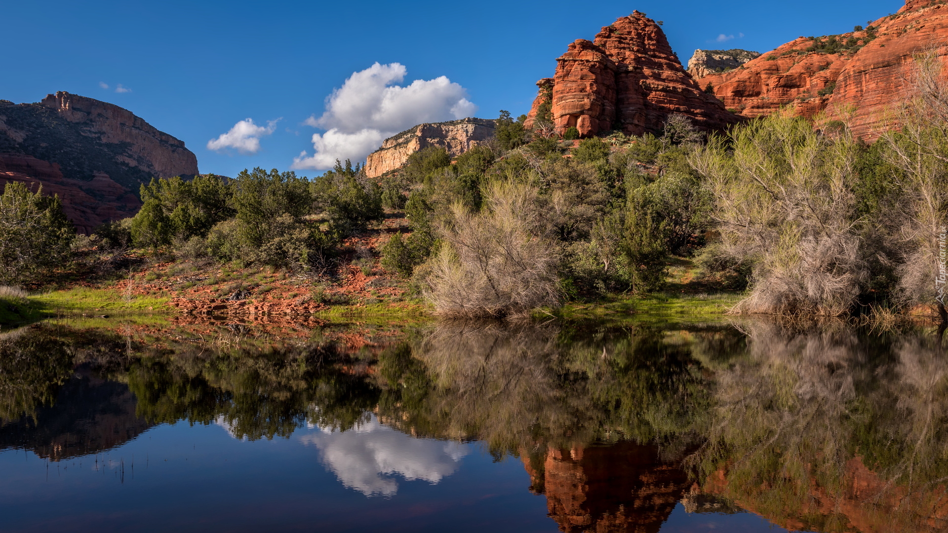 Czerwone, Skały, Krzewy, Drzewa, Jezioro, Sedona, Arizona, Stany Zjednoczone