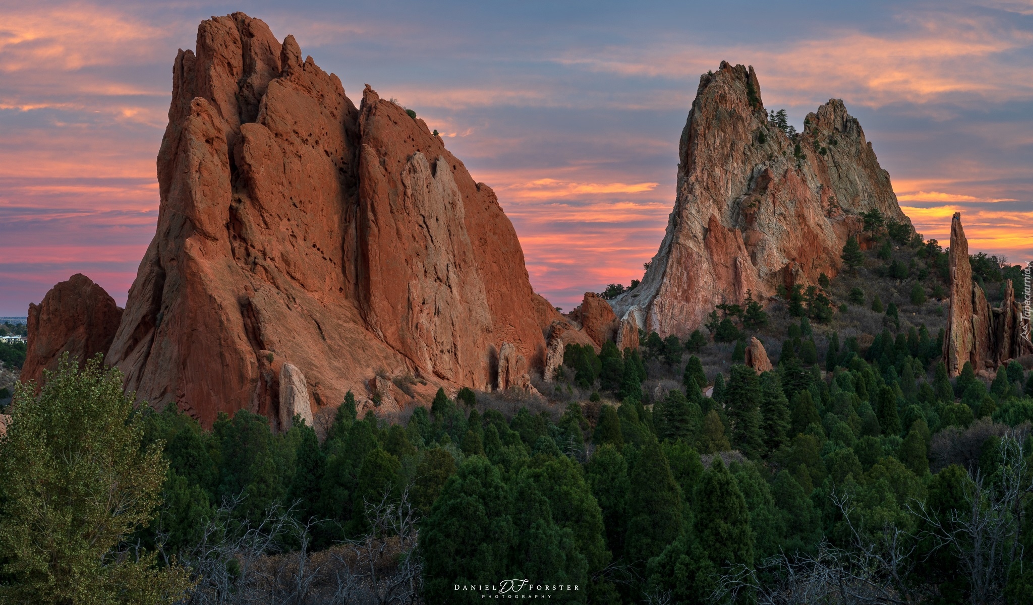 Stany Zjednoczone, Kolorado, Garden of the Gods, Góry, Skały, Drzewa