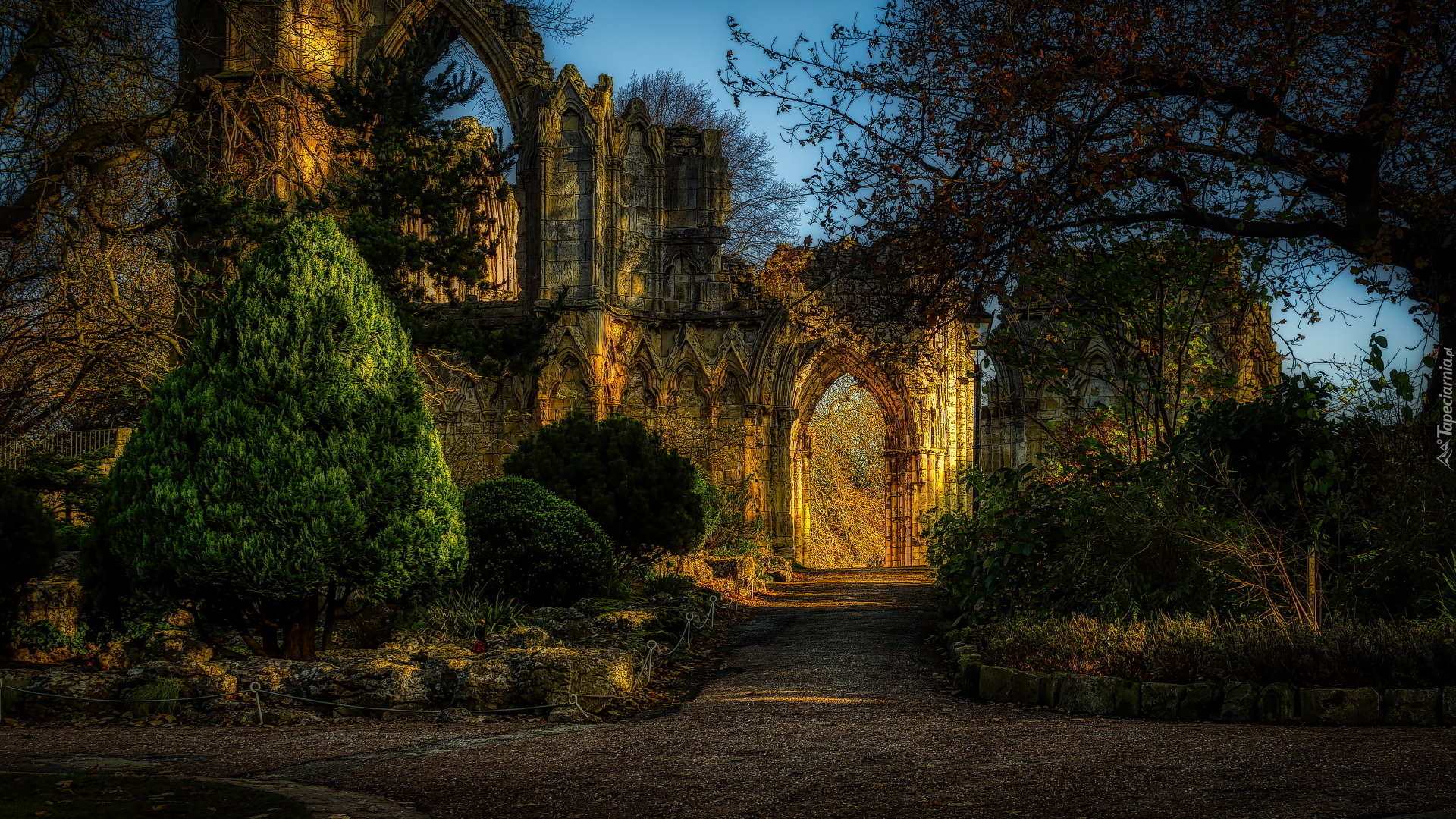 Mury, Katedra, York Minster, Brama, Drzewa, York, North Yorkshire, Anglia, HDR