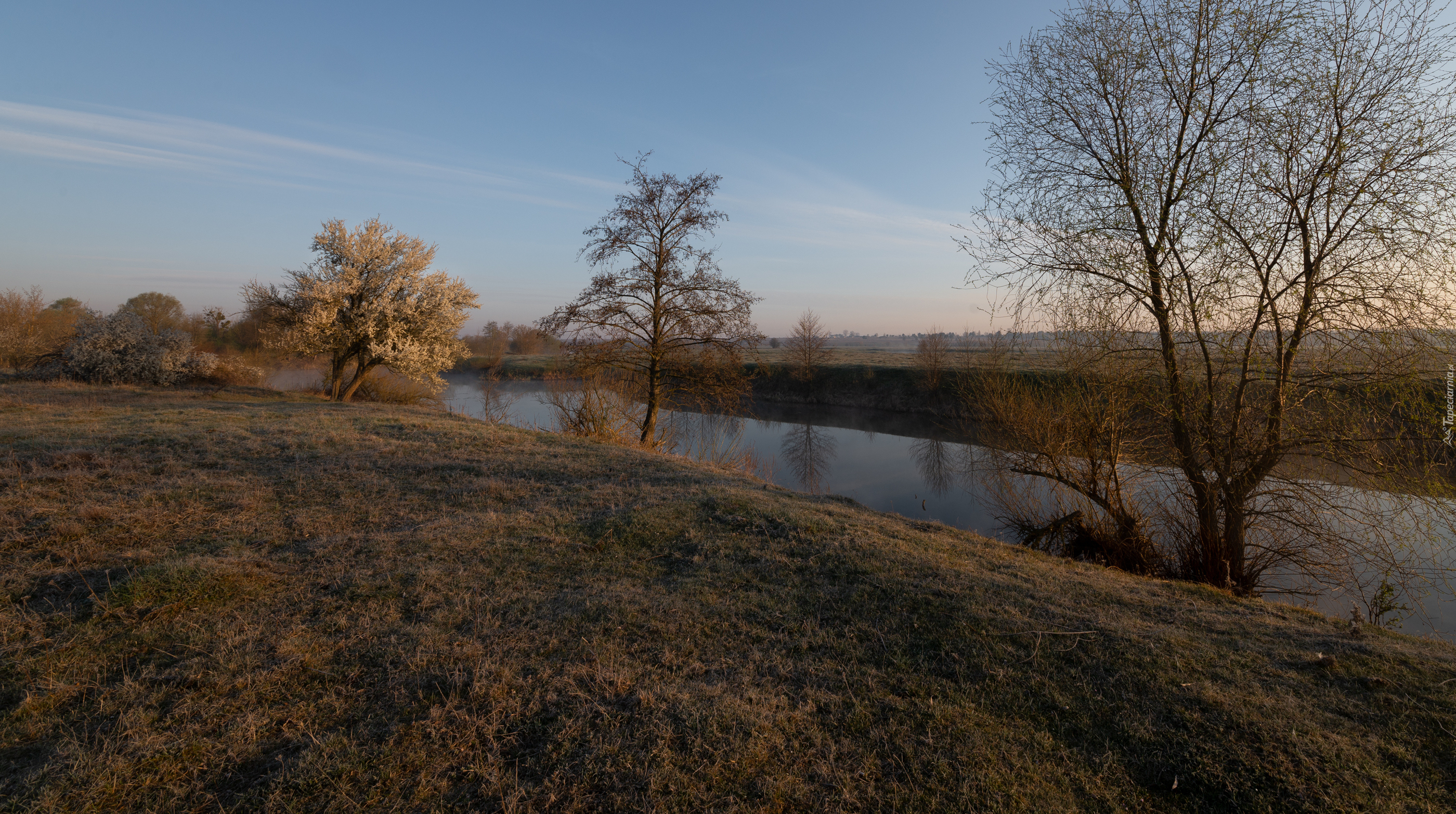 Jesień, Rzeka, Drzewa, Trawa