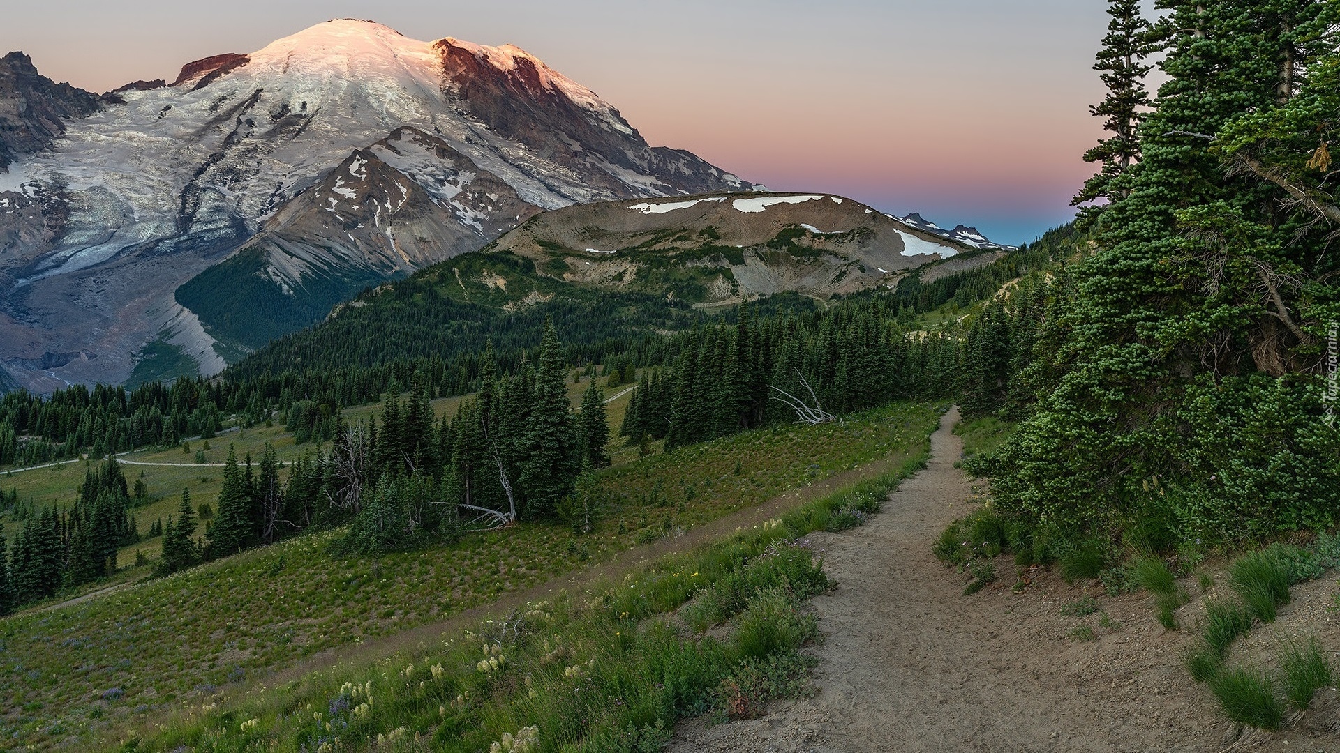 Wschód słońca, Góry, Śnieg, Droga, Drzewa, Stratowulkan, Mount Rainier, Park Narodowy Mount Rainier, Stan Waszyngton, Stany Zjednoczone