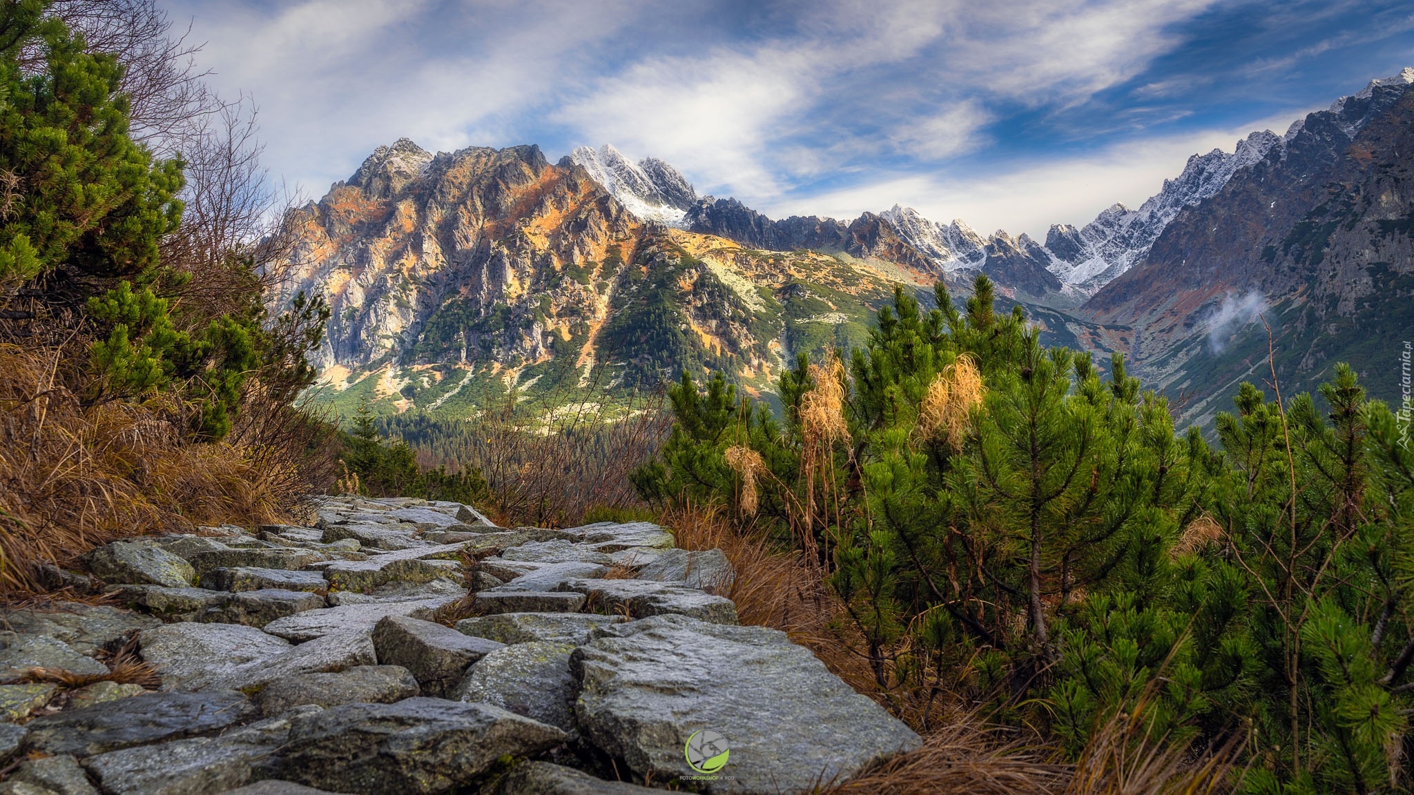 Góry, Tatry, Kamienie, Drzewa, Świerki, Kamienna, Droga