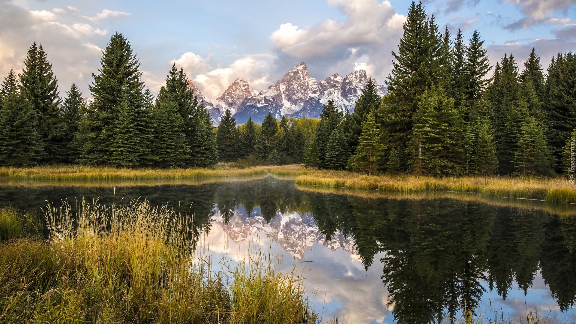 Stany Zjednoczone, Stan Wyoming, Park Narodowy Grand Teton, Rzeka Snake River, Góry Teton Range, Drzewa, Trawy, Odbicie