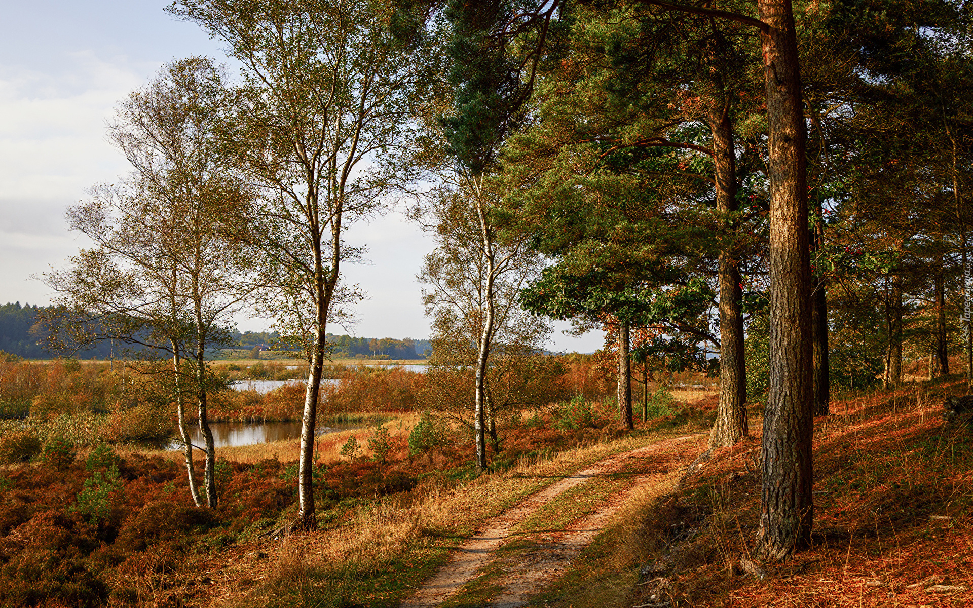 Jesień, Ścieżka, Drzewa, Jezioro