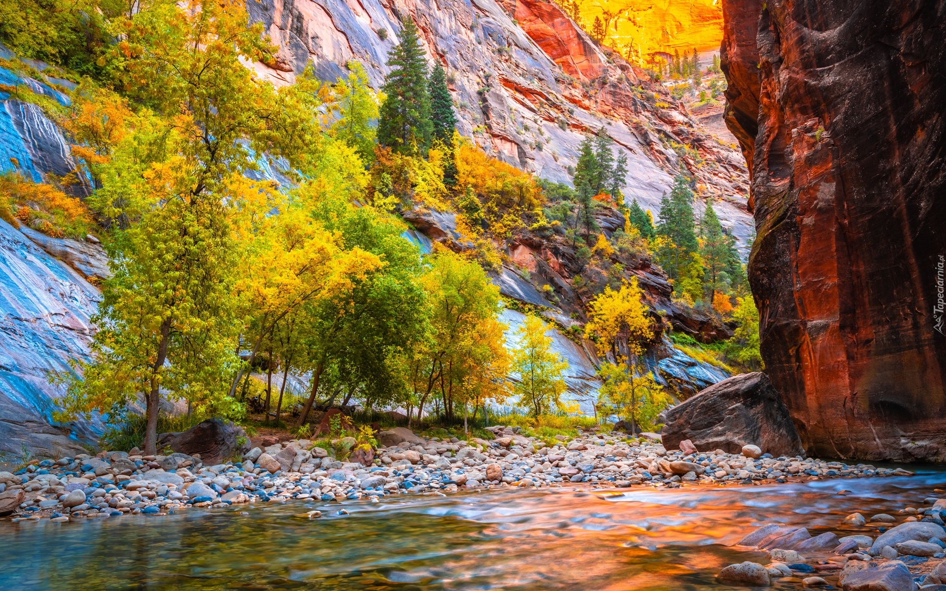 Stany Zjednoczone, Stan Utah, Park Narodowy Zion, Kanion Zion Narrows, Skały, Kamienie, Rzeka Virgin River