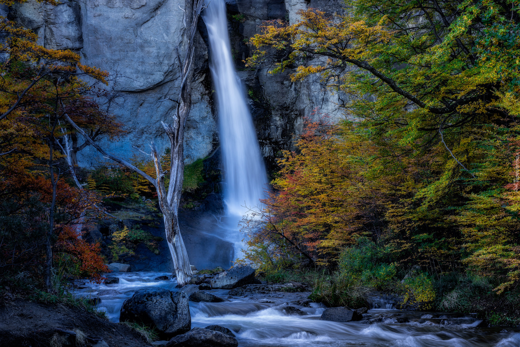 Wodospad, Chorrillo del Salto, Skała, Drzewa, Rzeka, Kamienie, Park Narodowy Los Glaciares, Argentyna