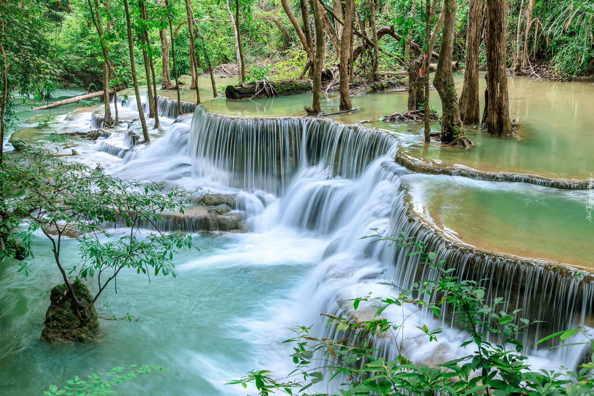 Las, Drzewa, Rośliny, Kamienie, Wodospad Huai Mae Khamin, Park Narodowy Khuean Srinagarindra, Prowincja Kanchanaburi, Tajlandia