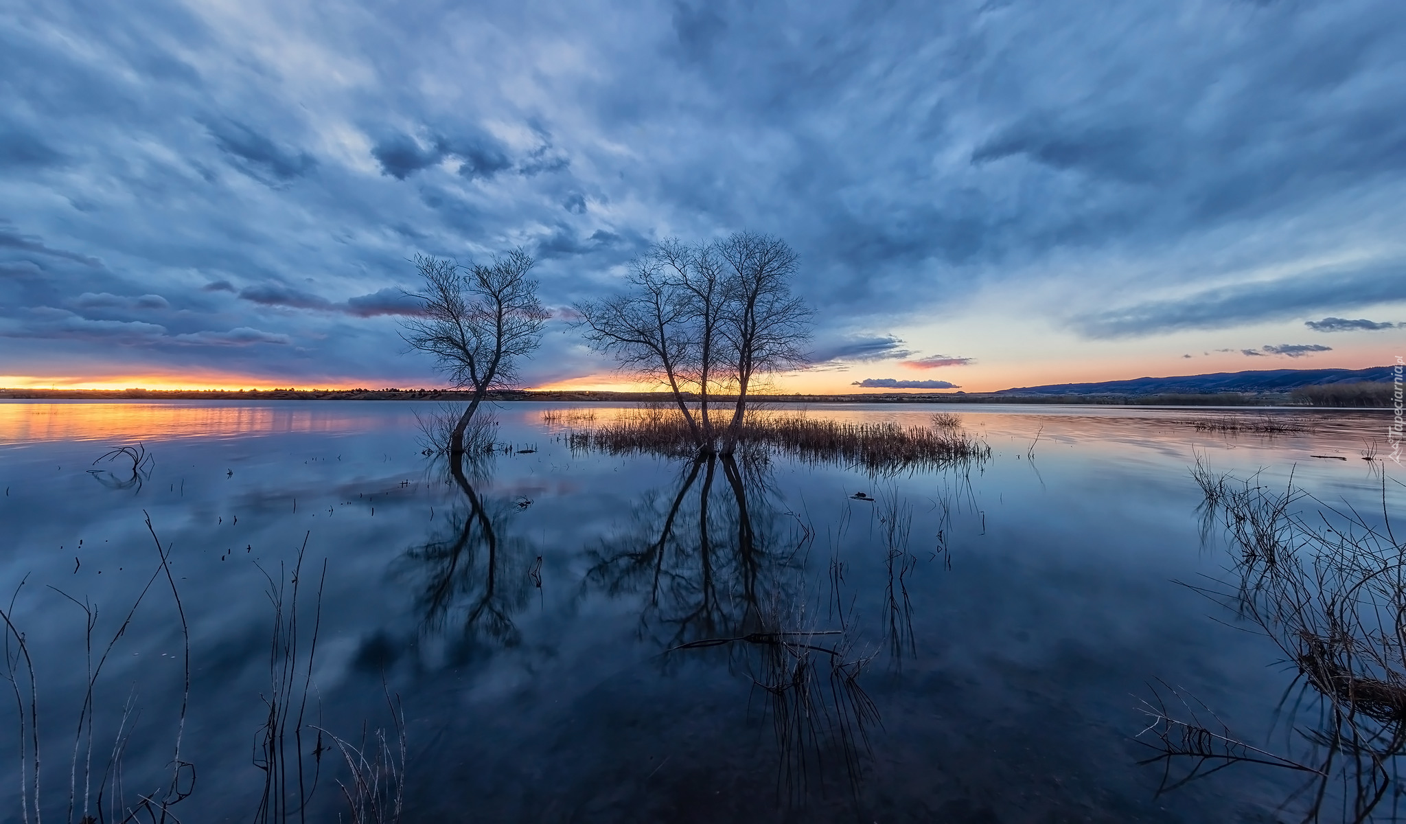 Jezioro, Chatfield Lake, Drzewa, Zachód słońca, Park stanowy Chatfield, Kolorado, Stany Zjednoczone