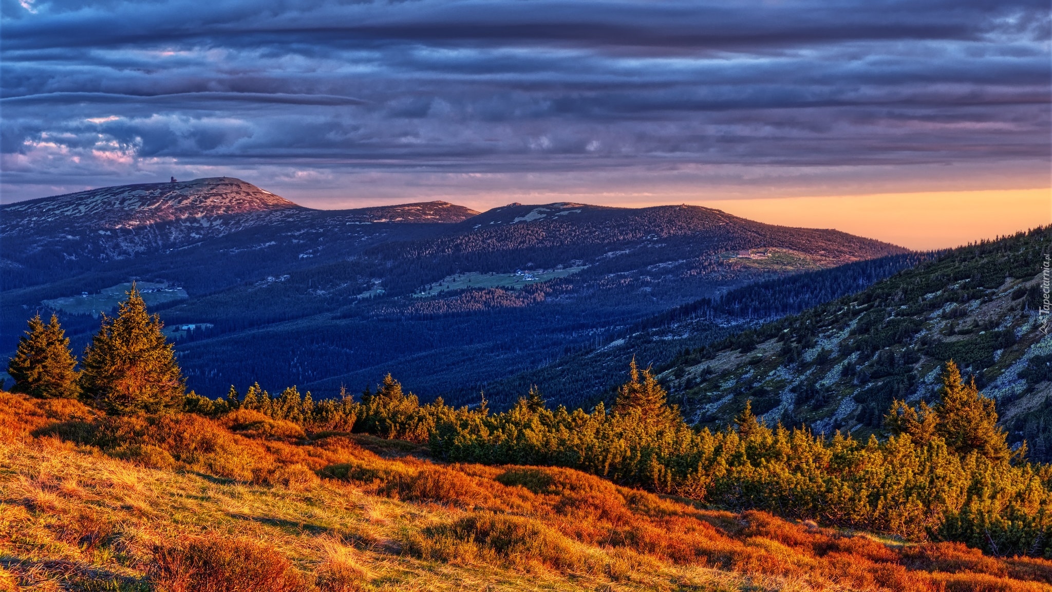 Góry, Karkonosze, Chmury, Drzewa, Rośliny, Polska