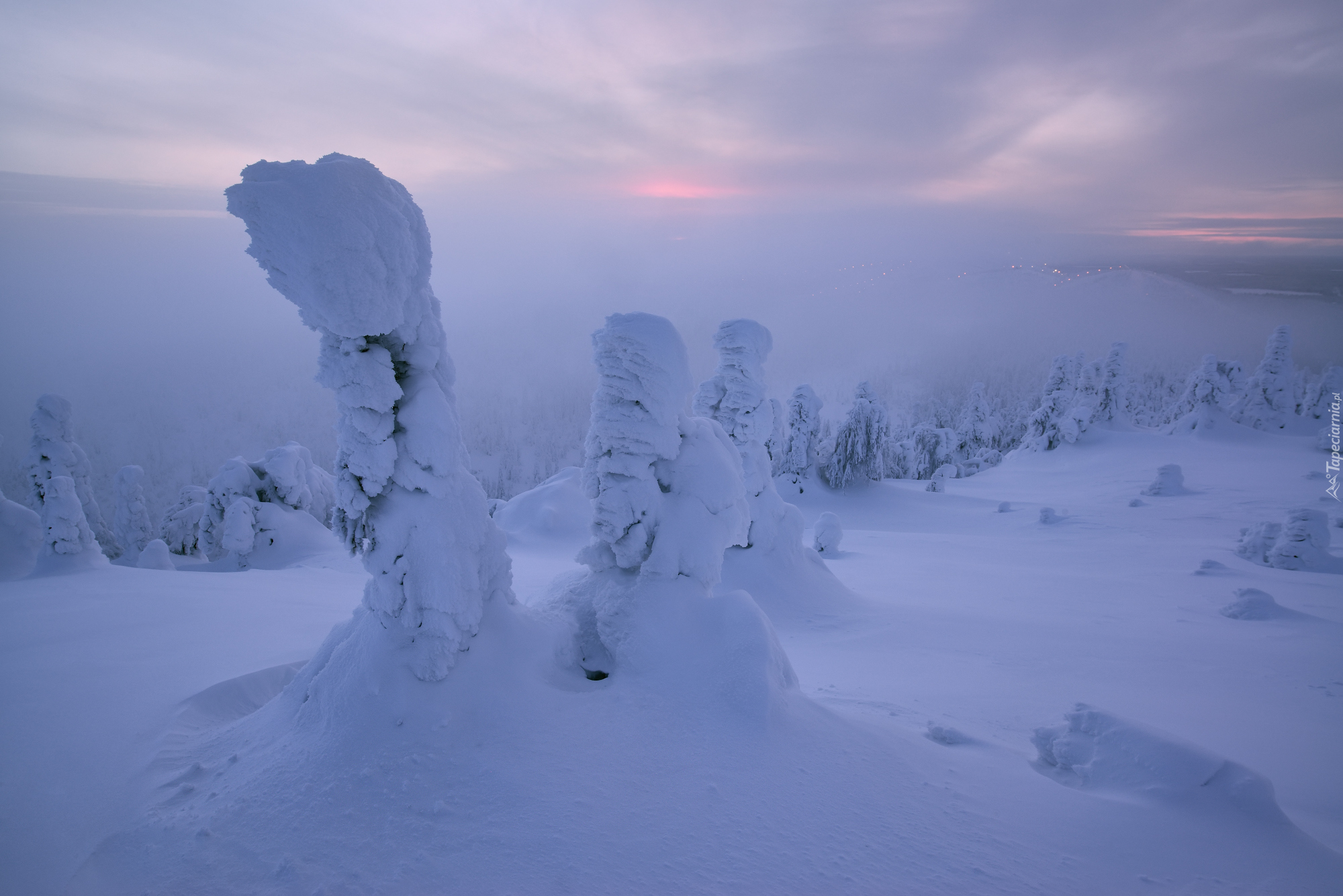 Zima, Góry, Zaśnieżone, Drzewa, Mgła, Finlandia