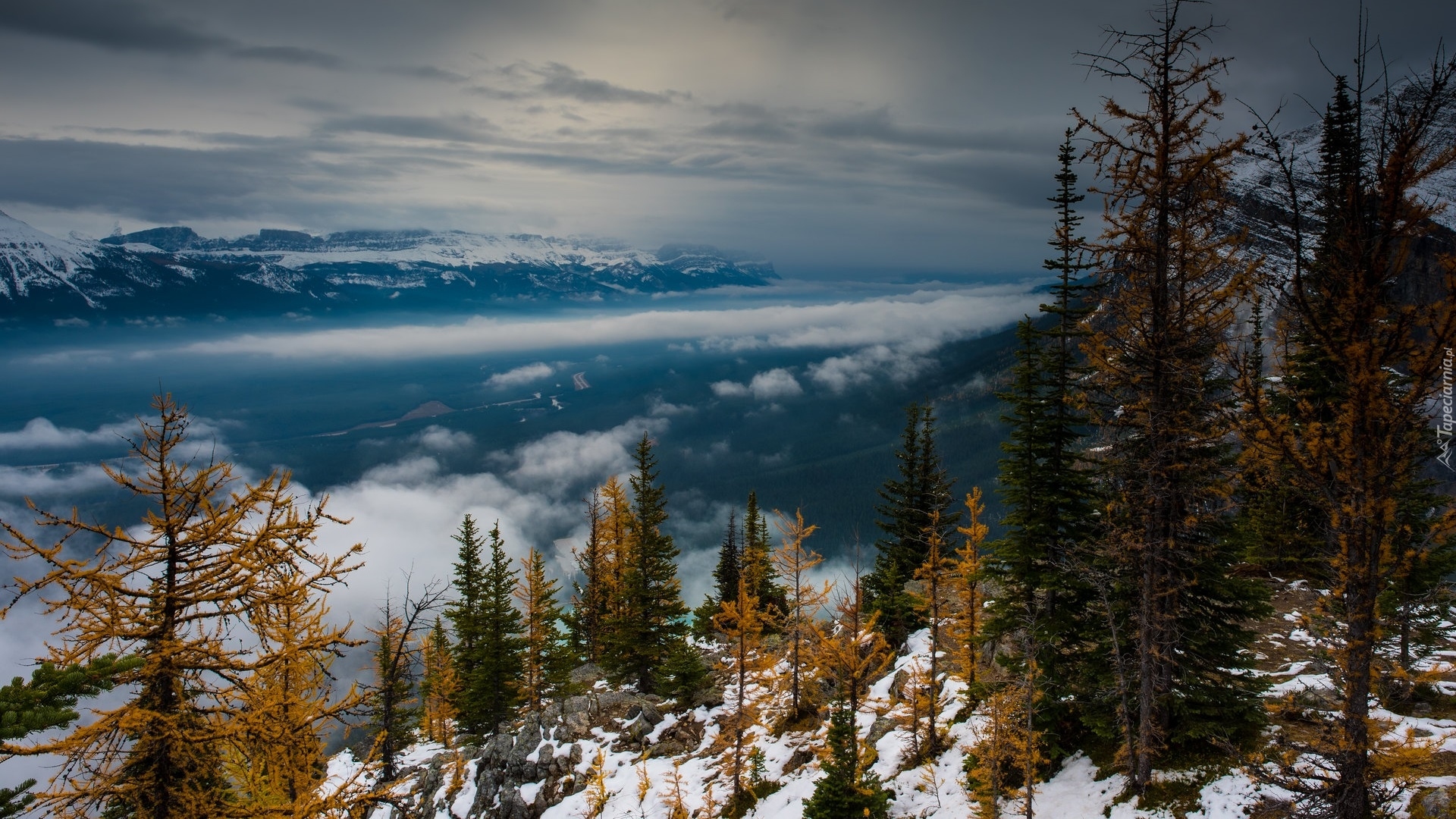 Góry, Dolina, Mgła, Drzewa, Śnieg