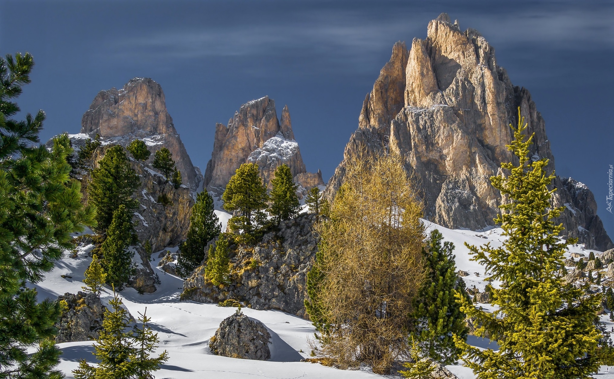 Góry, Dolomity, Sassolungo Langkofel, Skały, Drzewa, Śnieg, Włochy