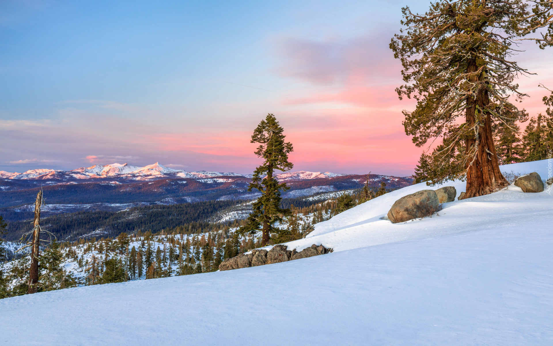 Stany Zjednoczone, Kalifornia, Sierra Nevada, Carson Pass, Zima, Las, Wzgórze, Śnieg, Drzewa, Góry, Kamienie, Niebo