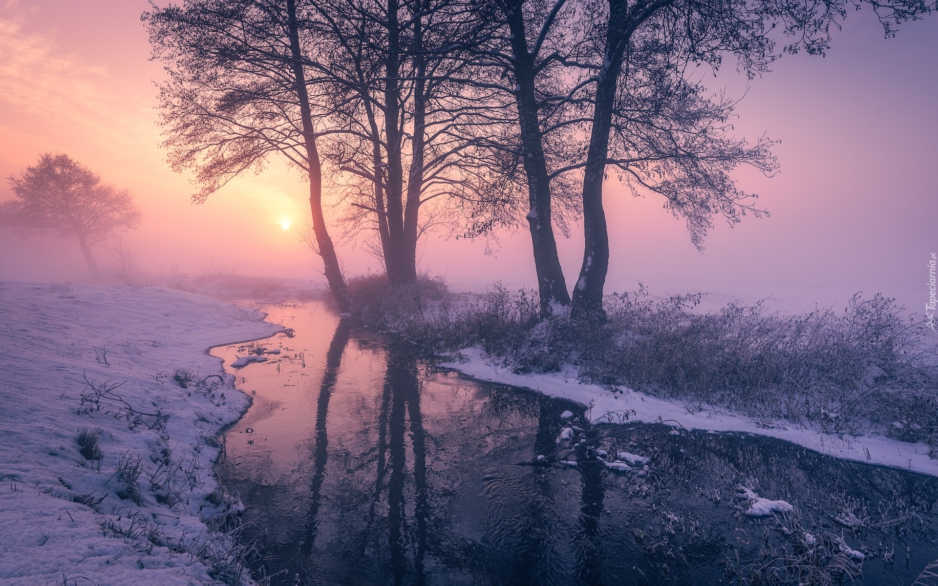 Rzeka, Zima, Śnieg, Drzewa, Przebijające światło, Krzewy, Mgła