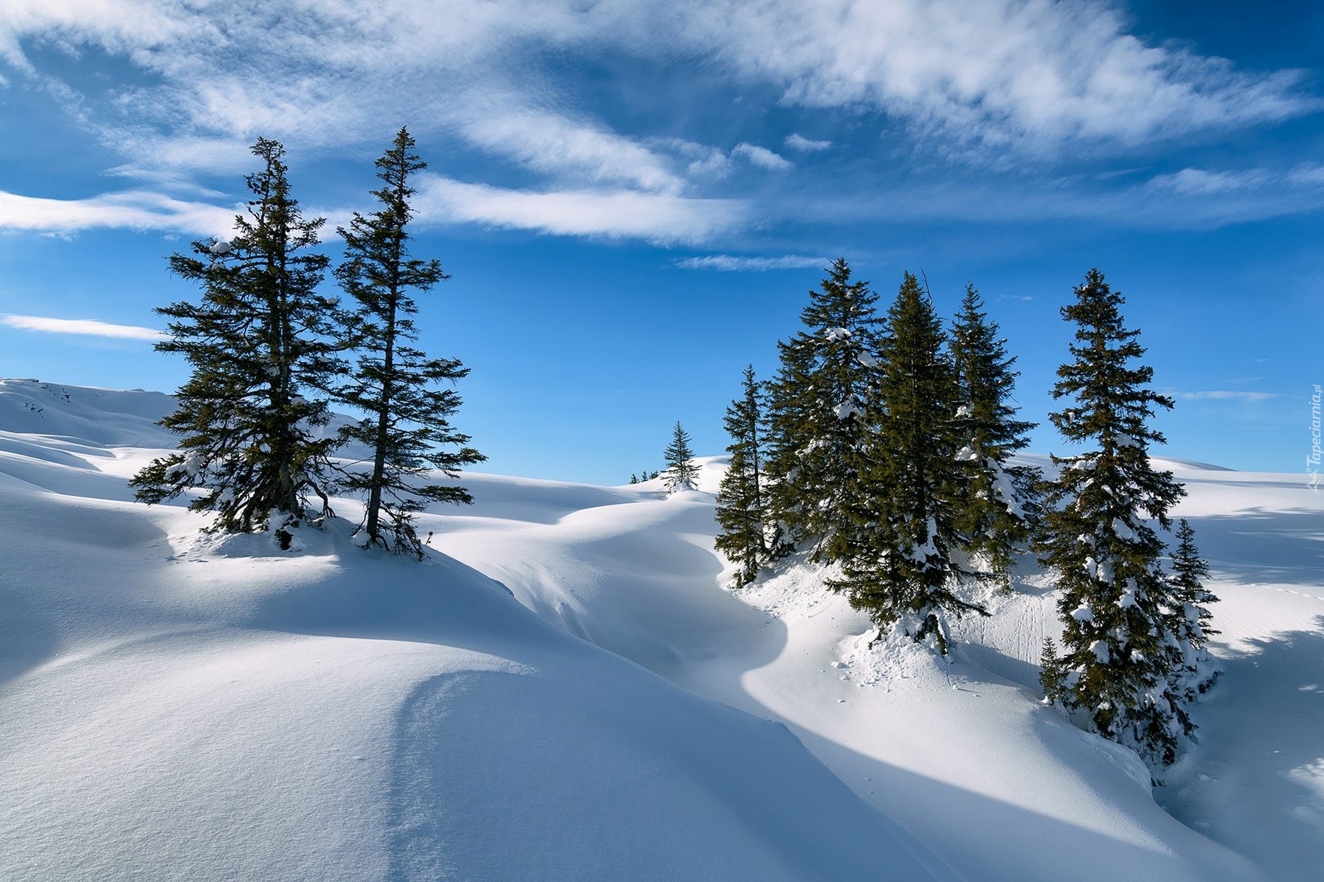 Zima, Zaspy śnieżne, Śnieg, Góry, Drzewa, Świerki