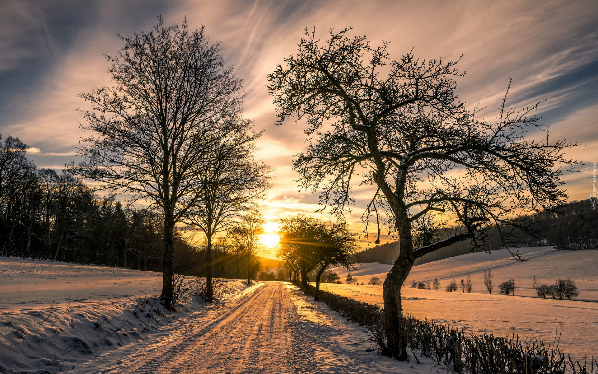 Zima, Wschód słońca, Droga, Drzewa