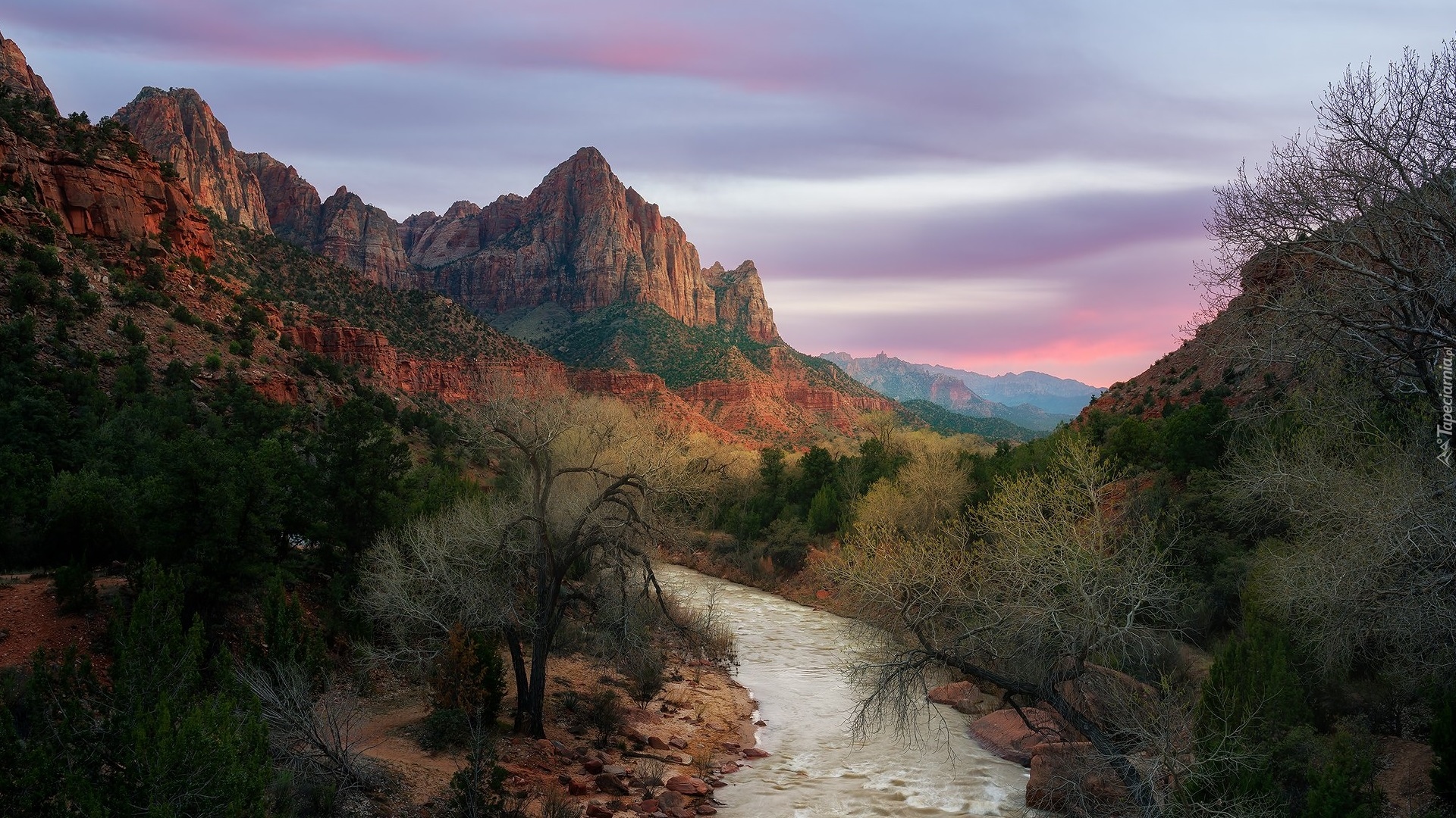 Stany Zjednoczone, Stan Utah, Góry, Góra Watchman, Rzeka, Virgin River, Drzewa, Park Narodowy Zion