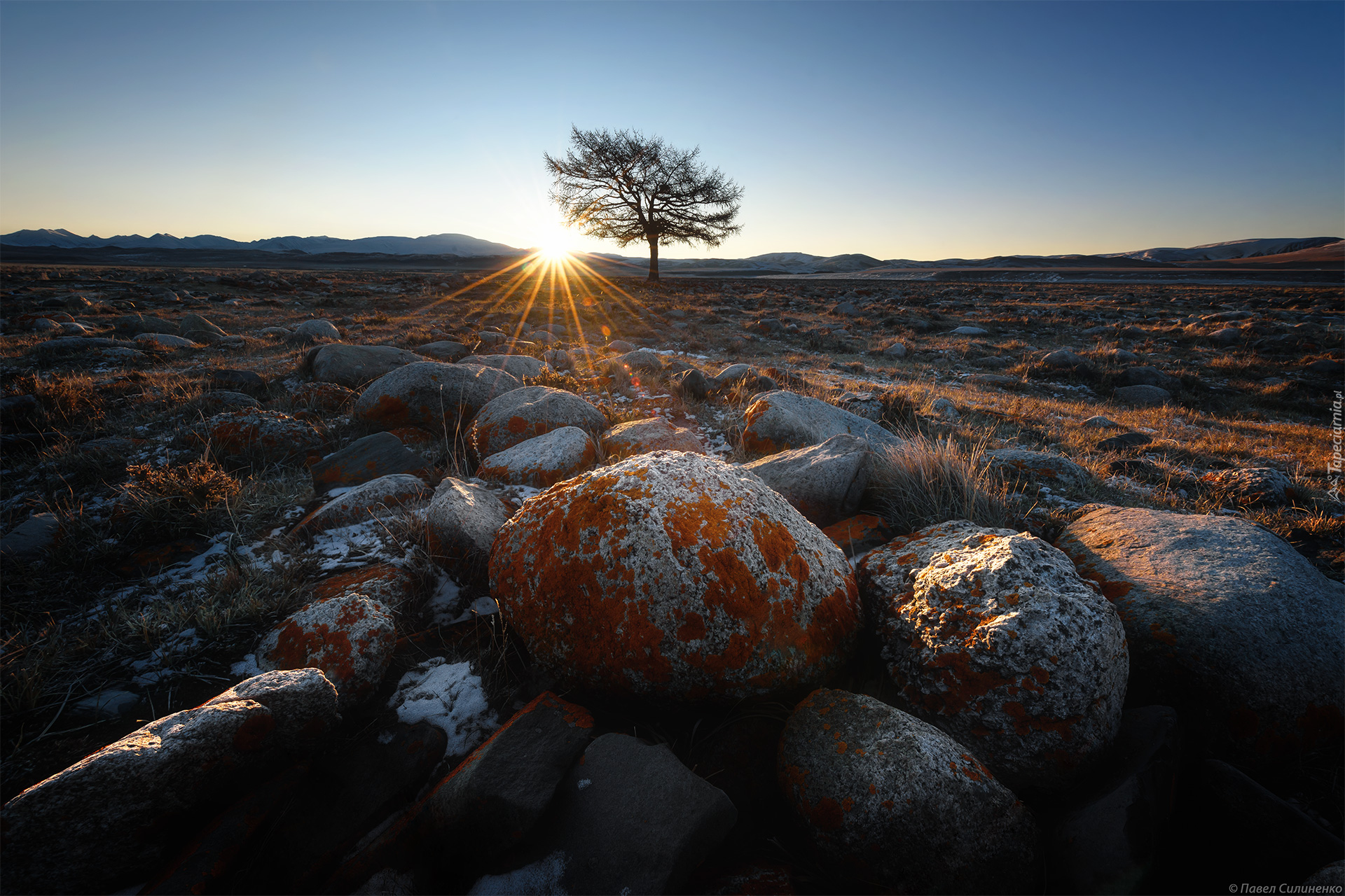 Kamienie, Drzewo, Promienie słońca