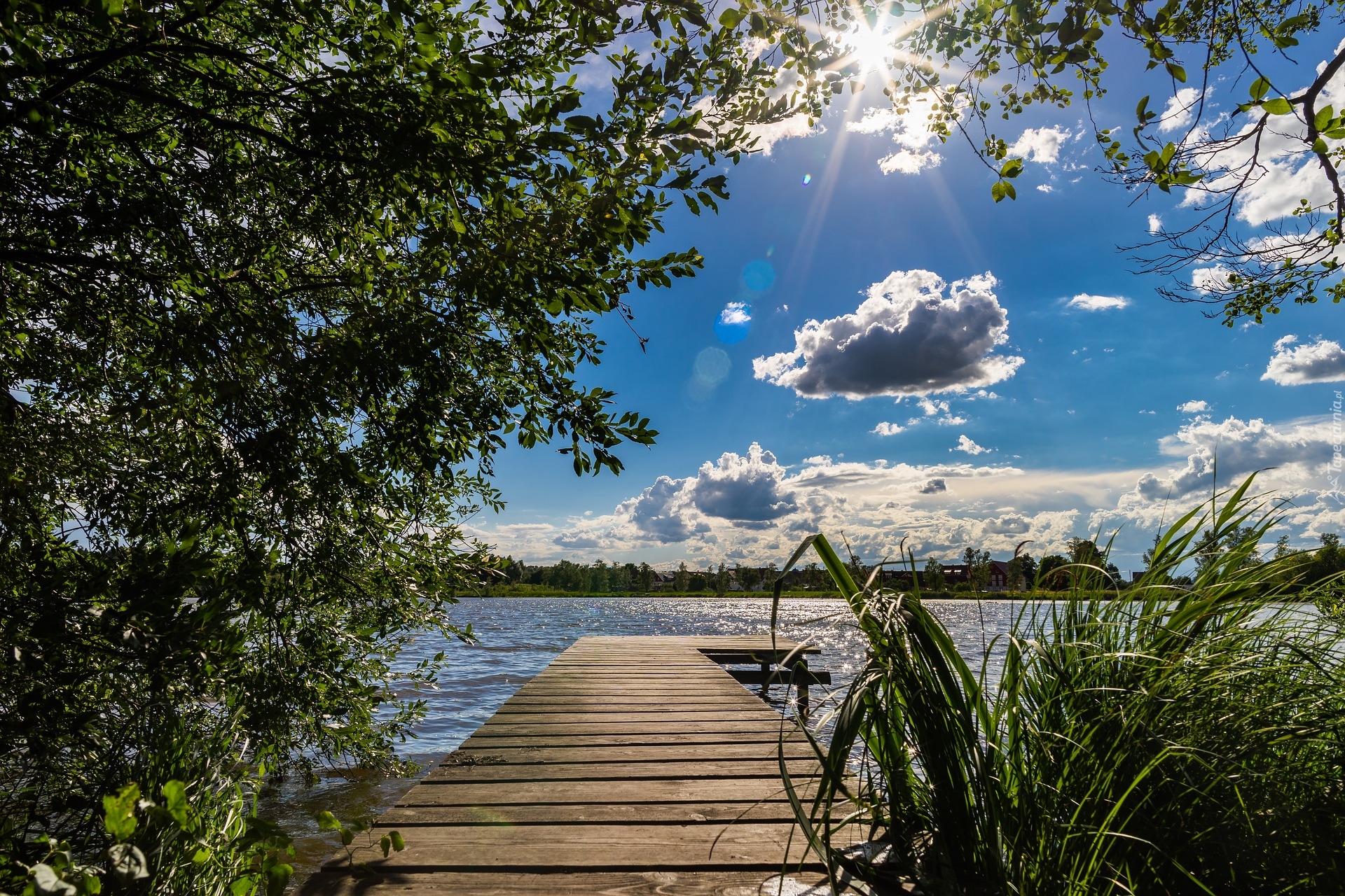 Jezioro, Pomost, Drzewo, Szuwary, Chmury, Promienie słońca