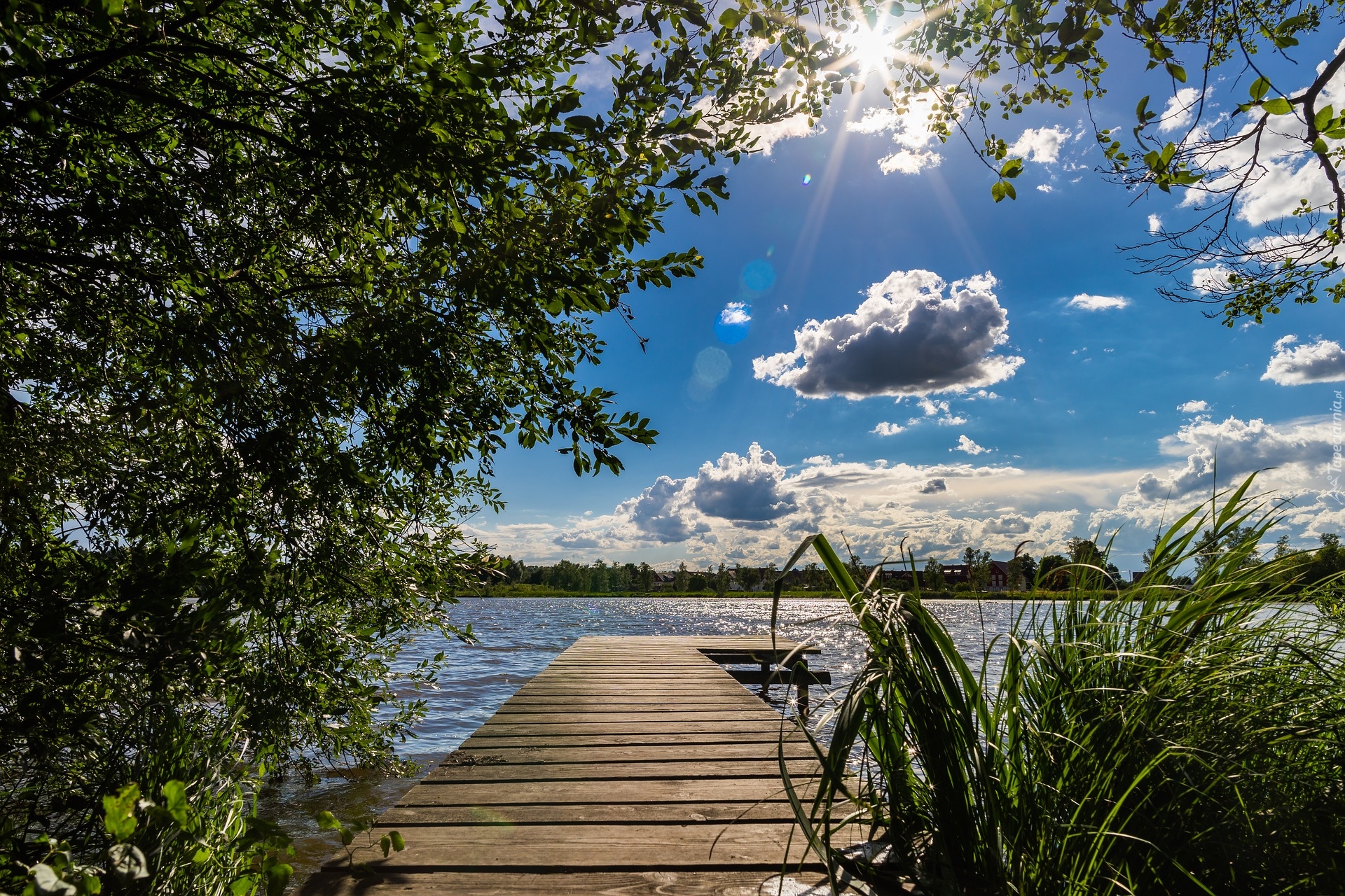 Jezioro, Pomost, Drzewo, Szuwary, Chmury, Promienie słońca