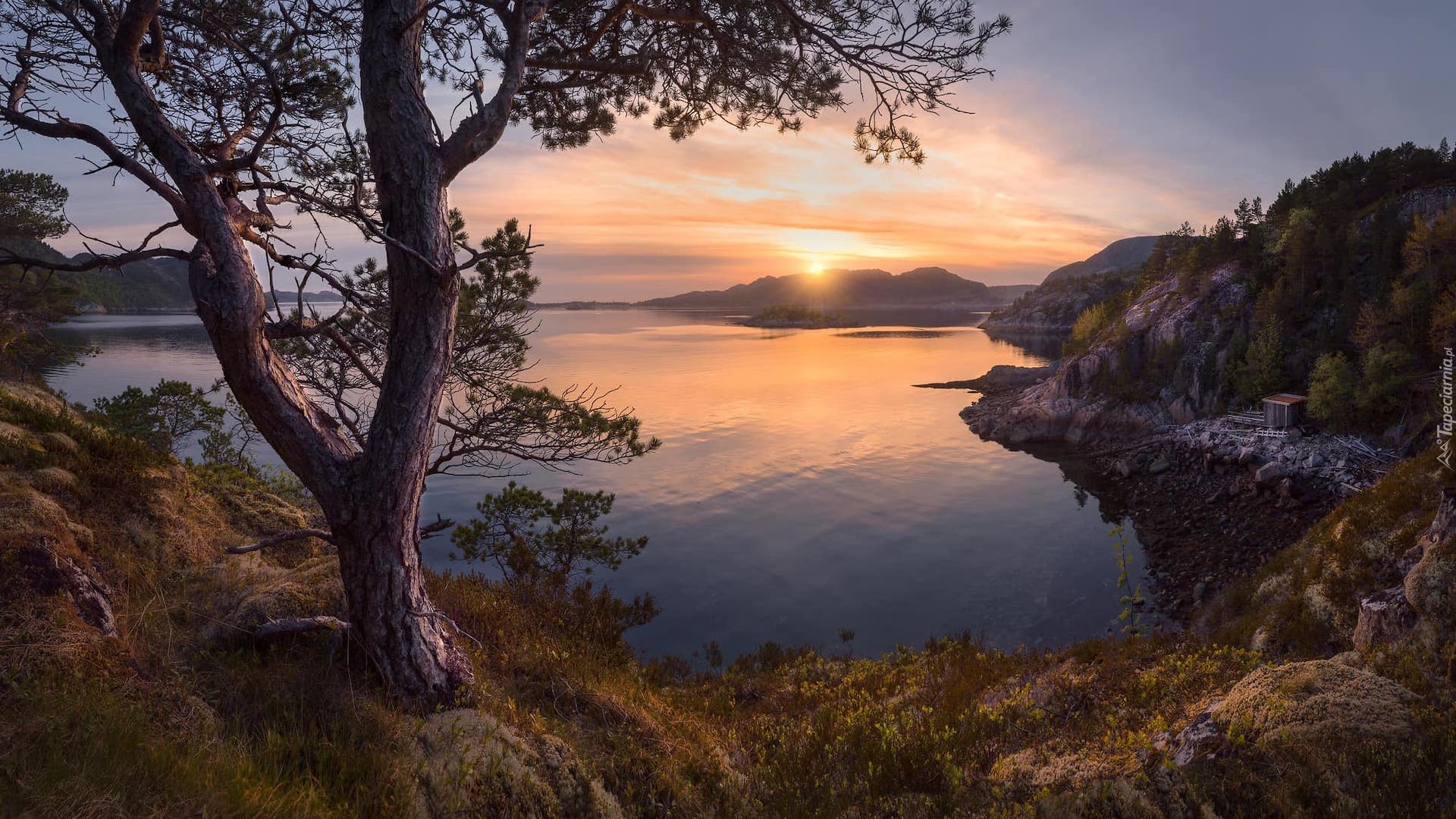 Jezioro, Zatoka, Wzgórza, Zachód słońca, Drzewo, Gmina Agdenes, Norwegia